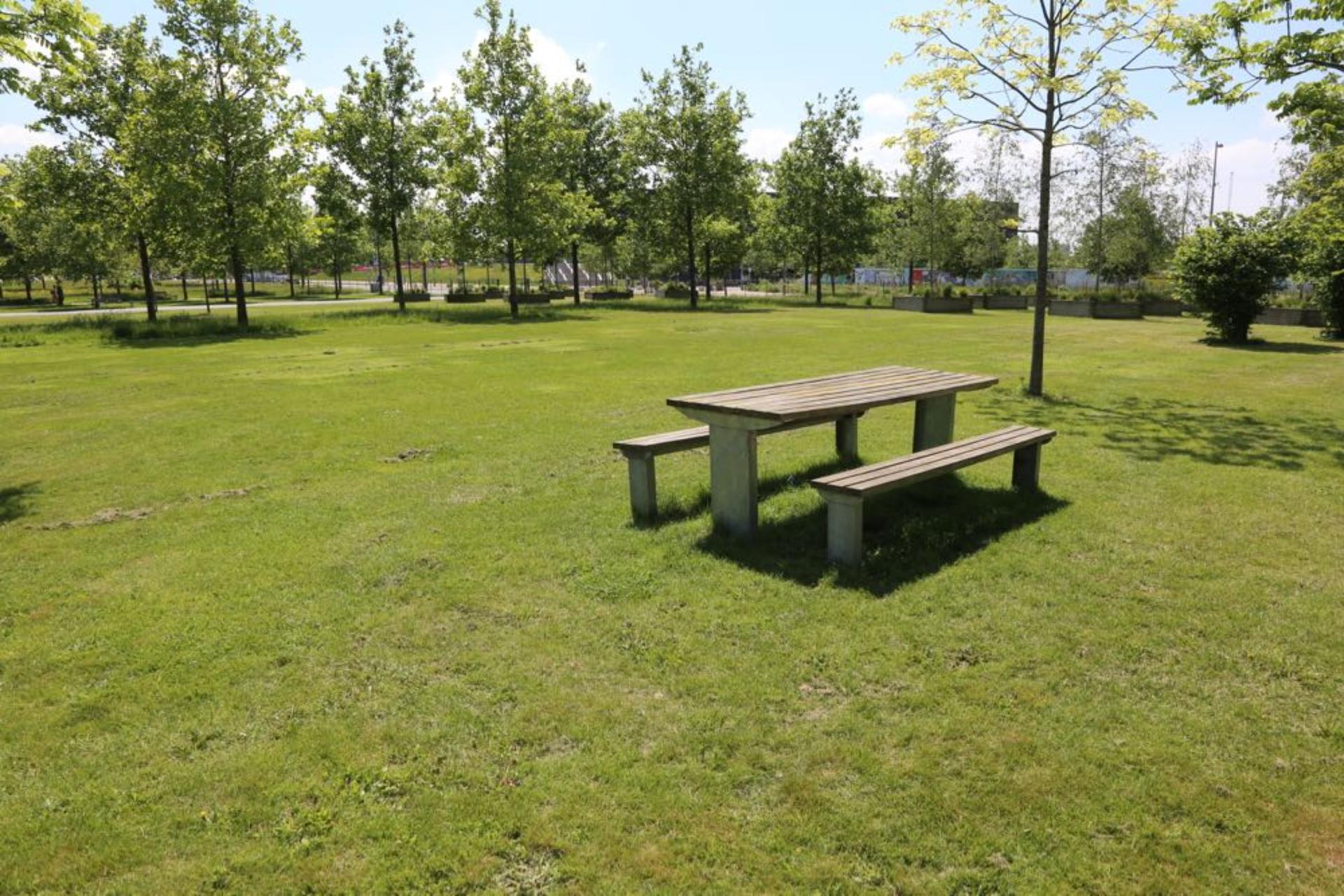 Hopkins’ Field