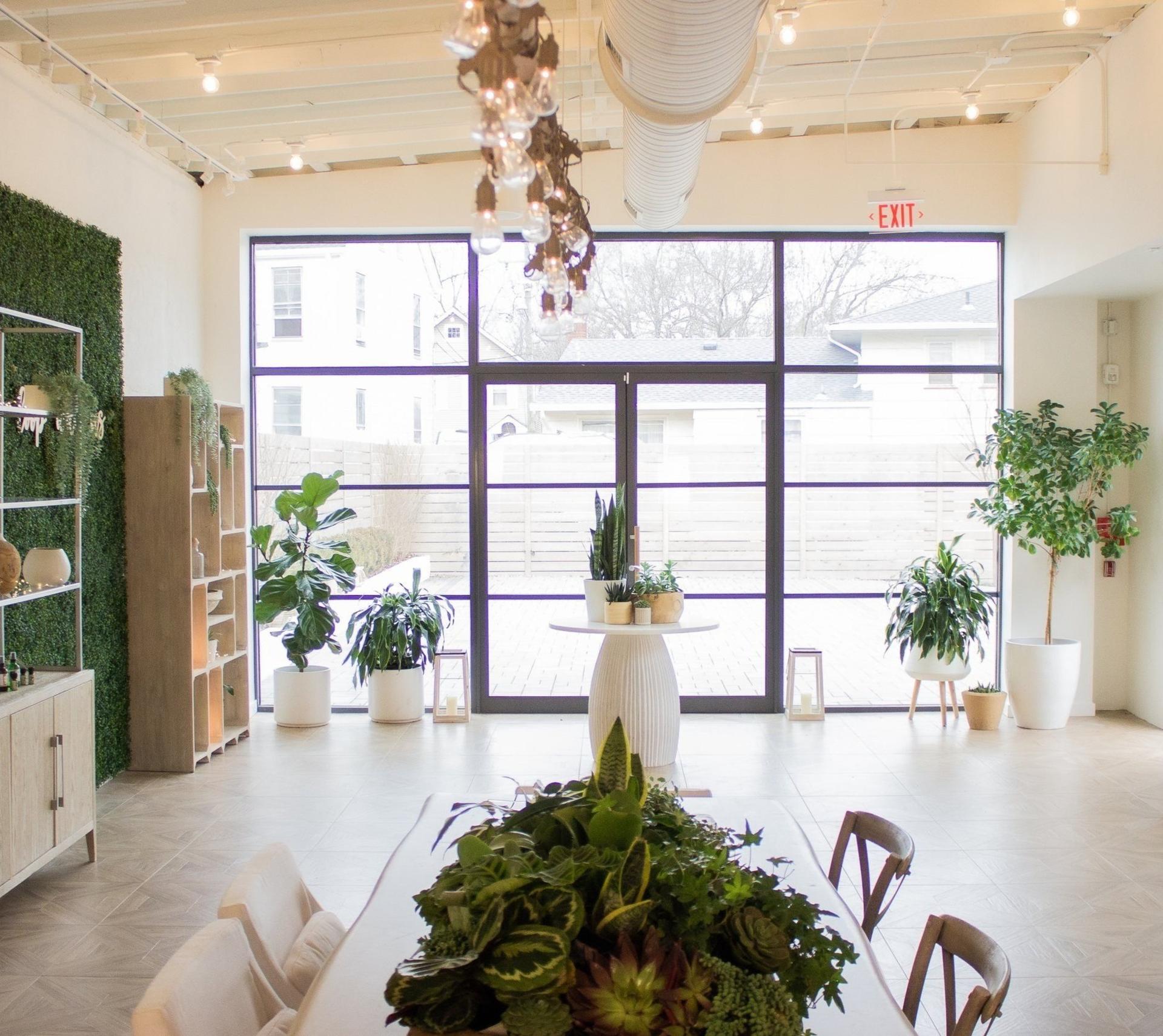The Apothecary