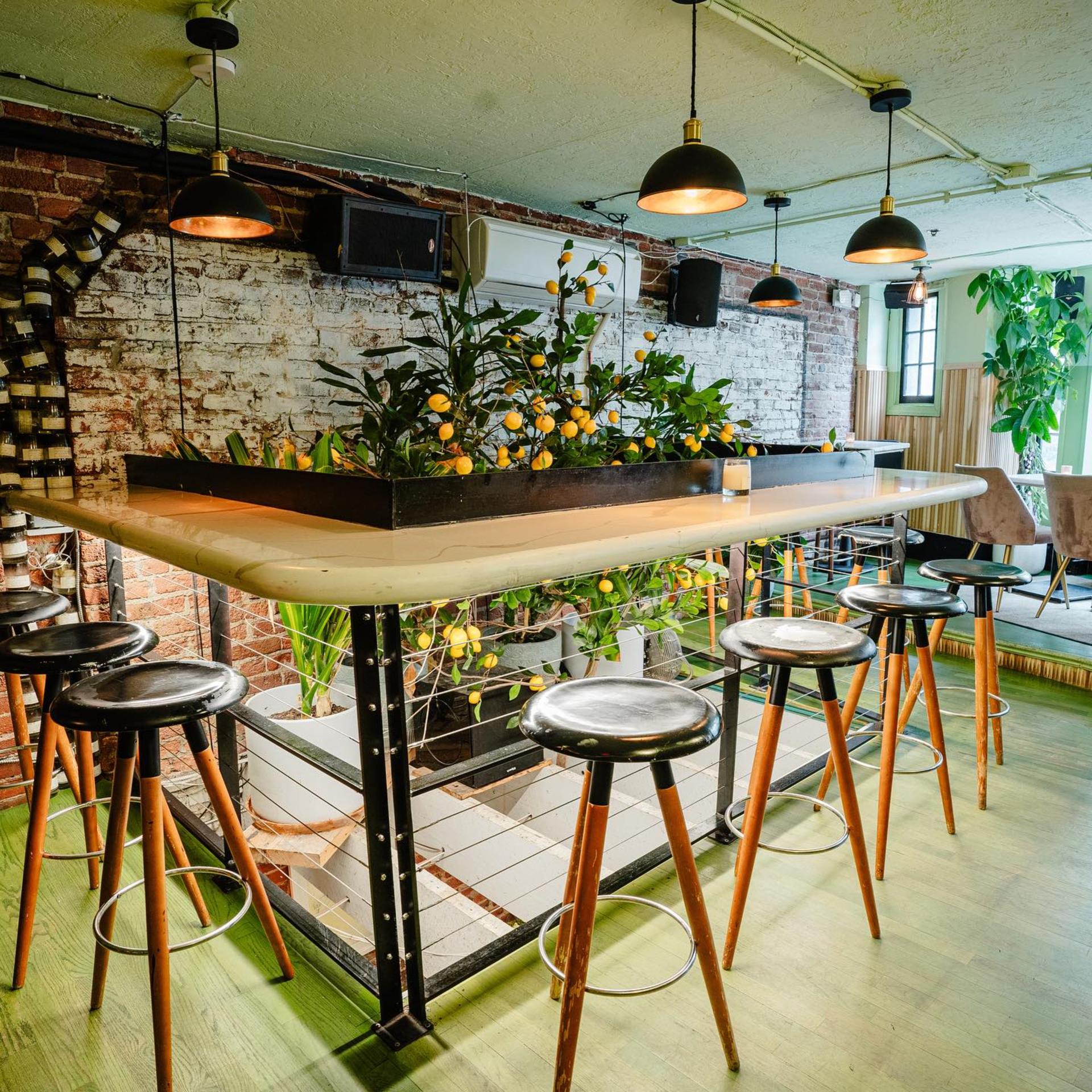 Full Buyout Of The Residents Cafe & Bar