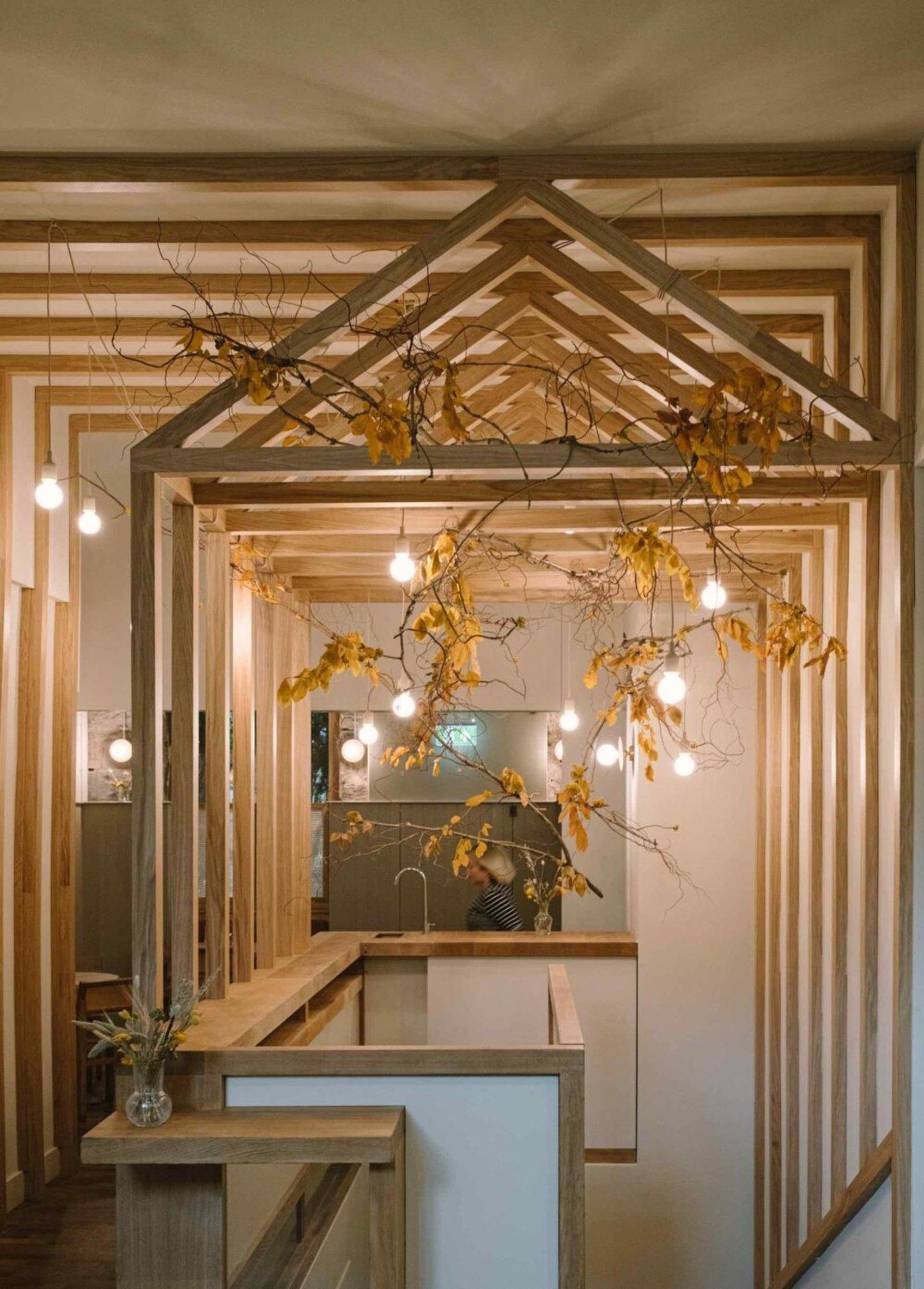 Canopy Space