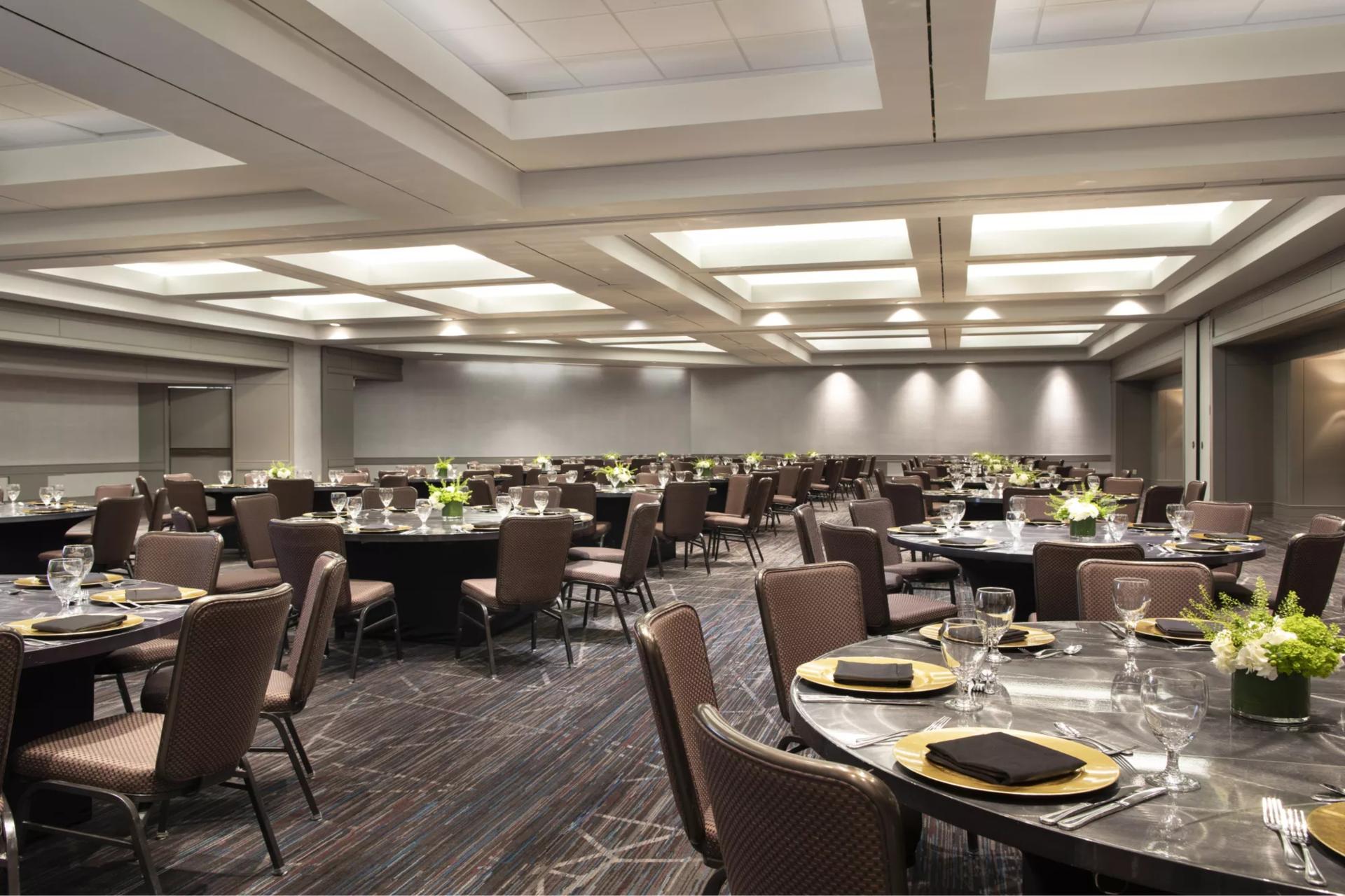 Dunwoody Suites