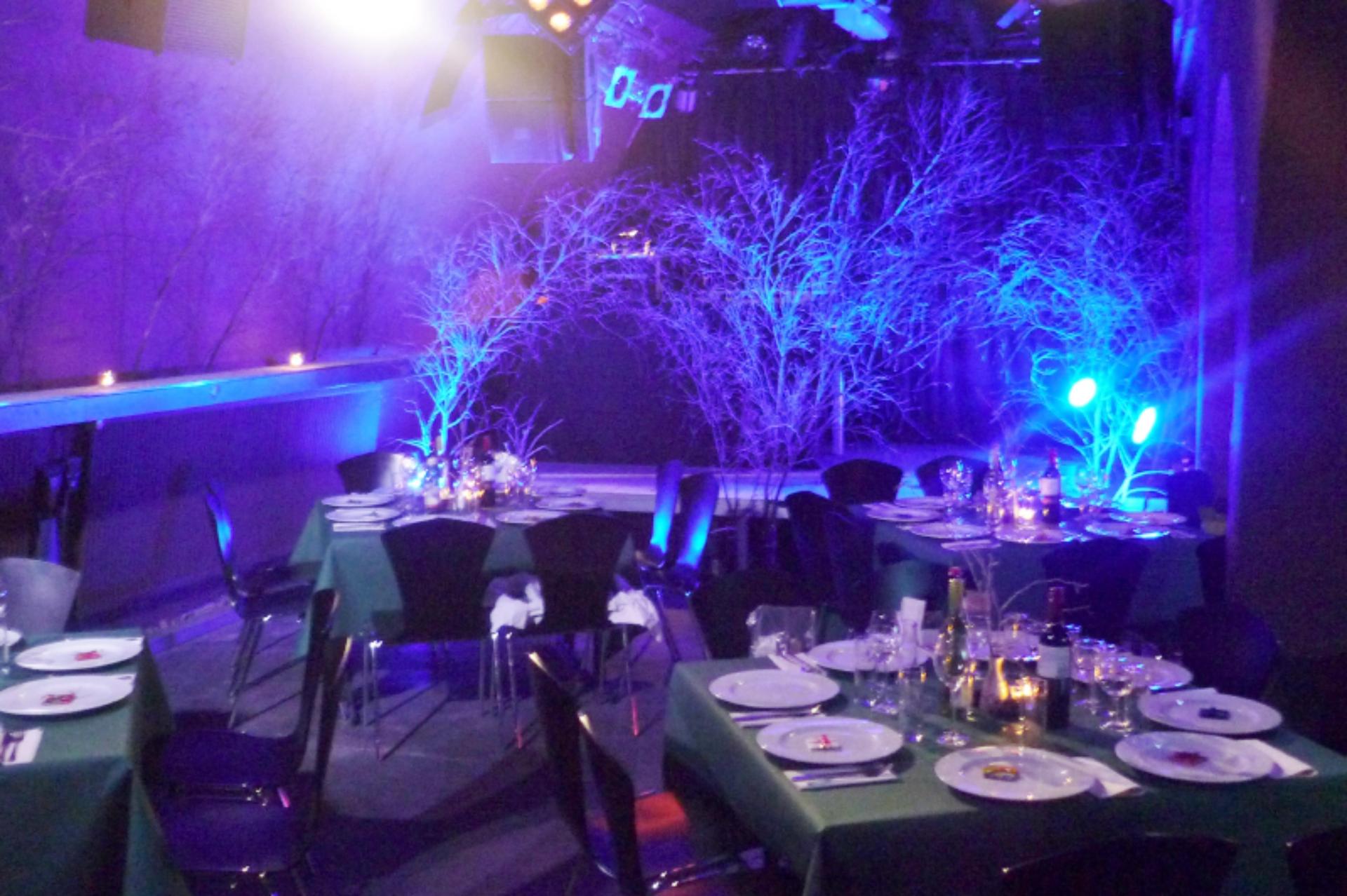 “Bambi Galore” Club Room