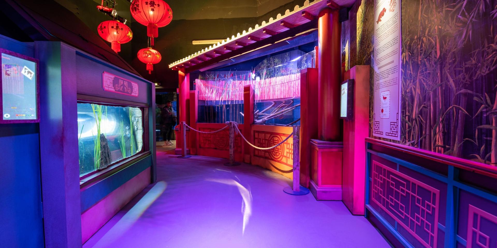 Full Buyout Of The SEA LIFE Val d'Europe