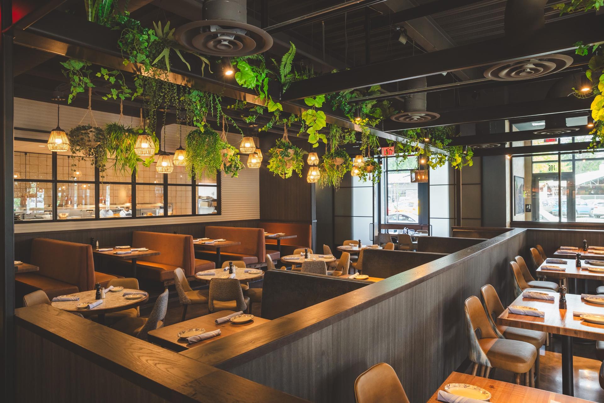 Full Buyout Of The Catalina Kitchen + Bar