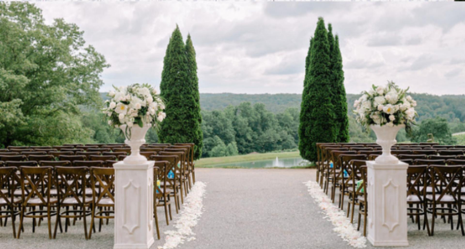 Vineyard Overlook