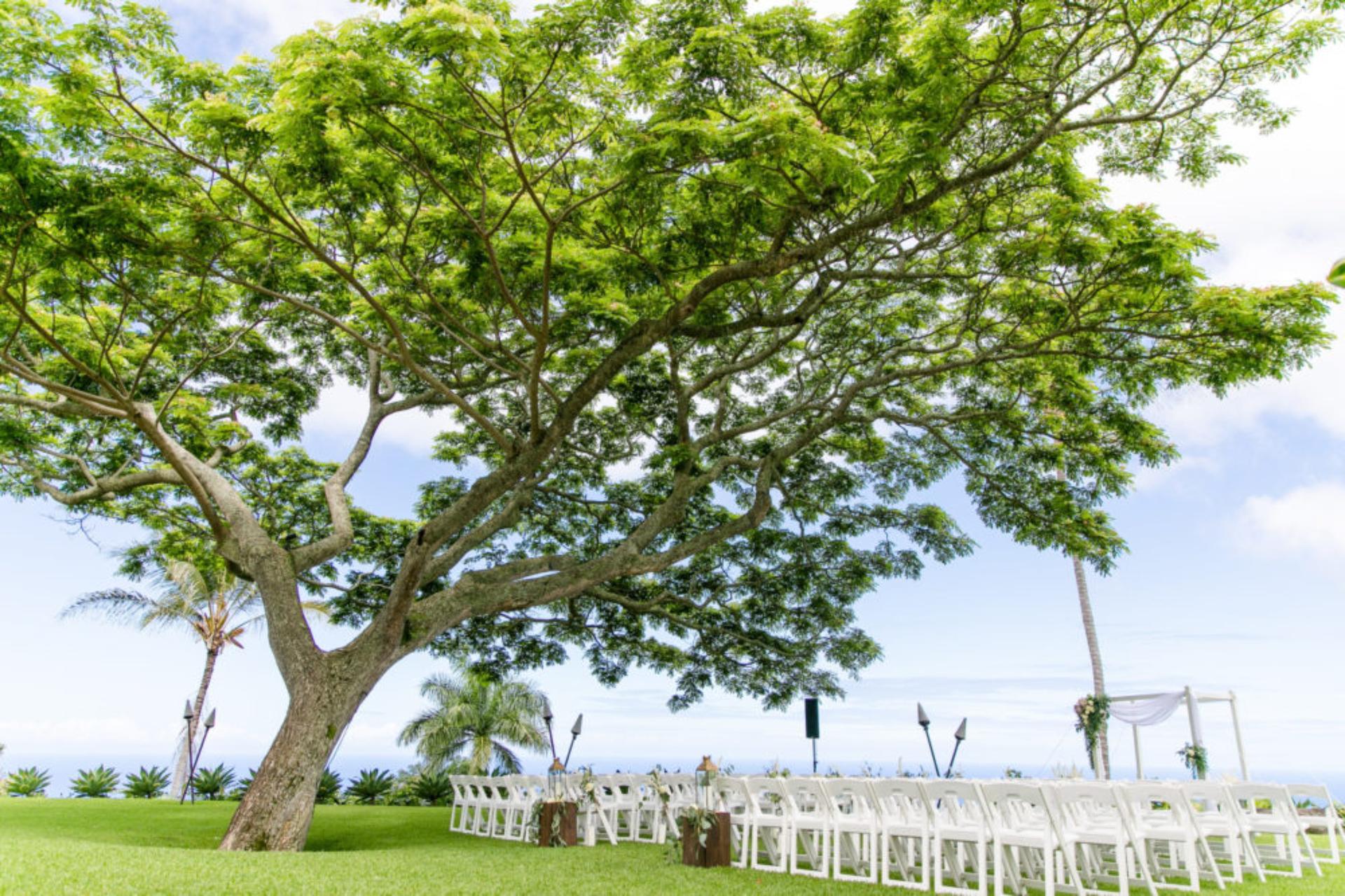 Great Lawn