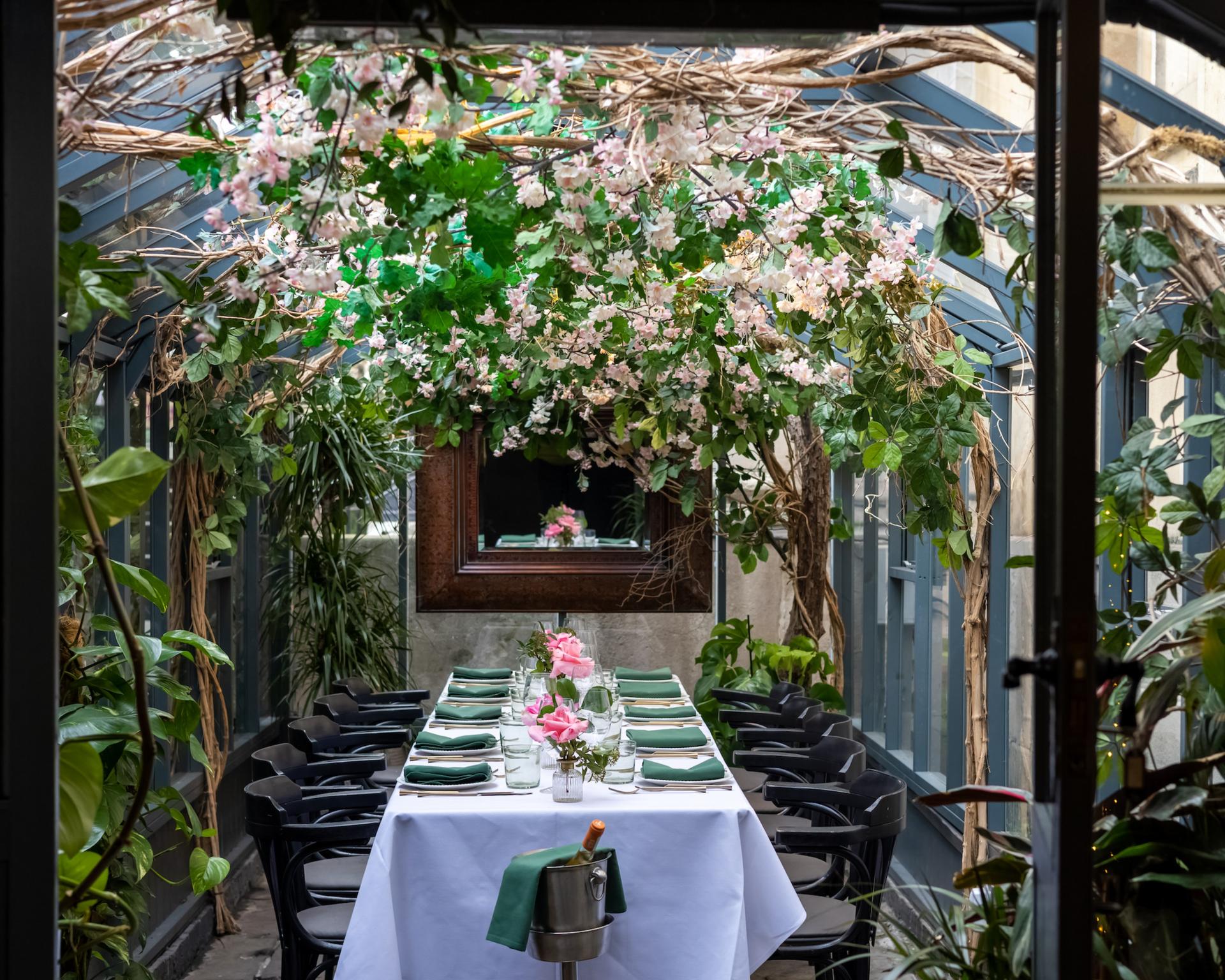 The Albany Greenhouse 