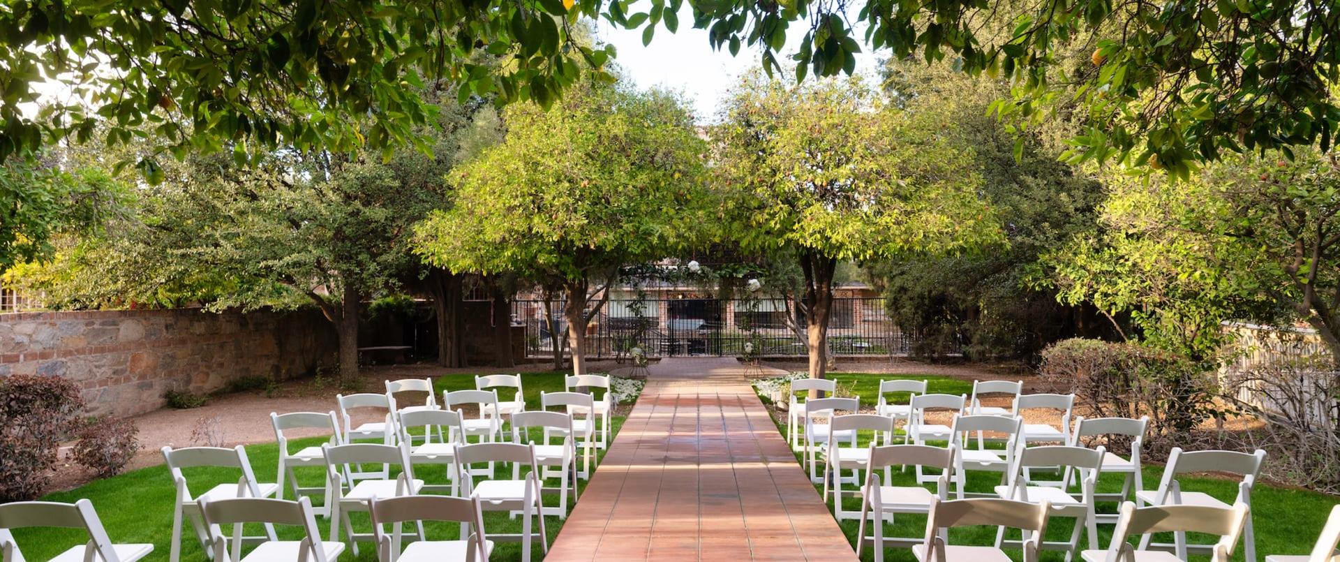Orange Grove