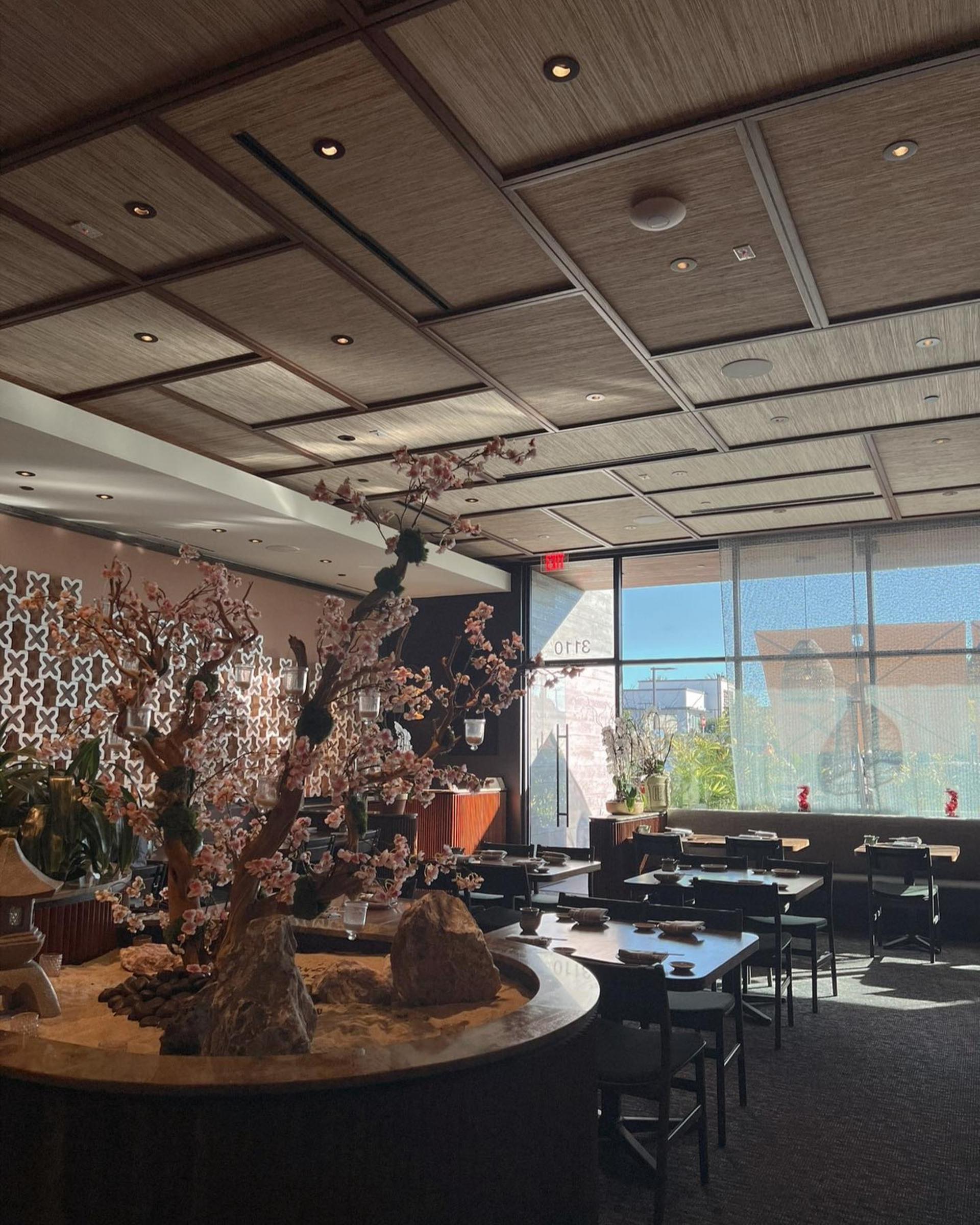 Full Buyout Of The Sushi Roku Manhattan Beach