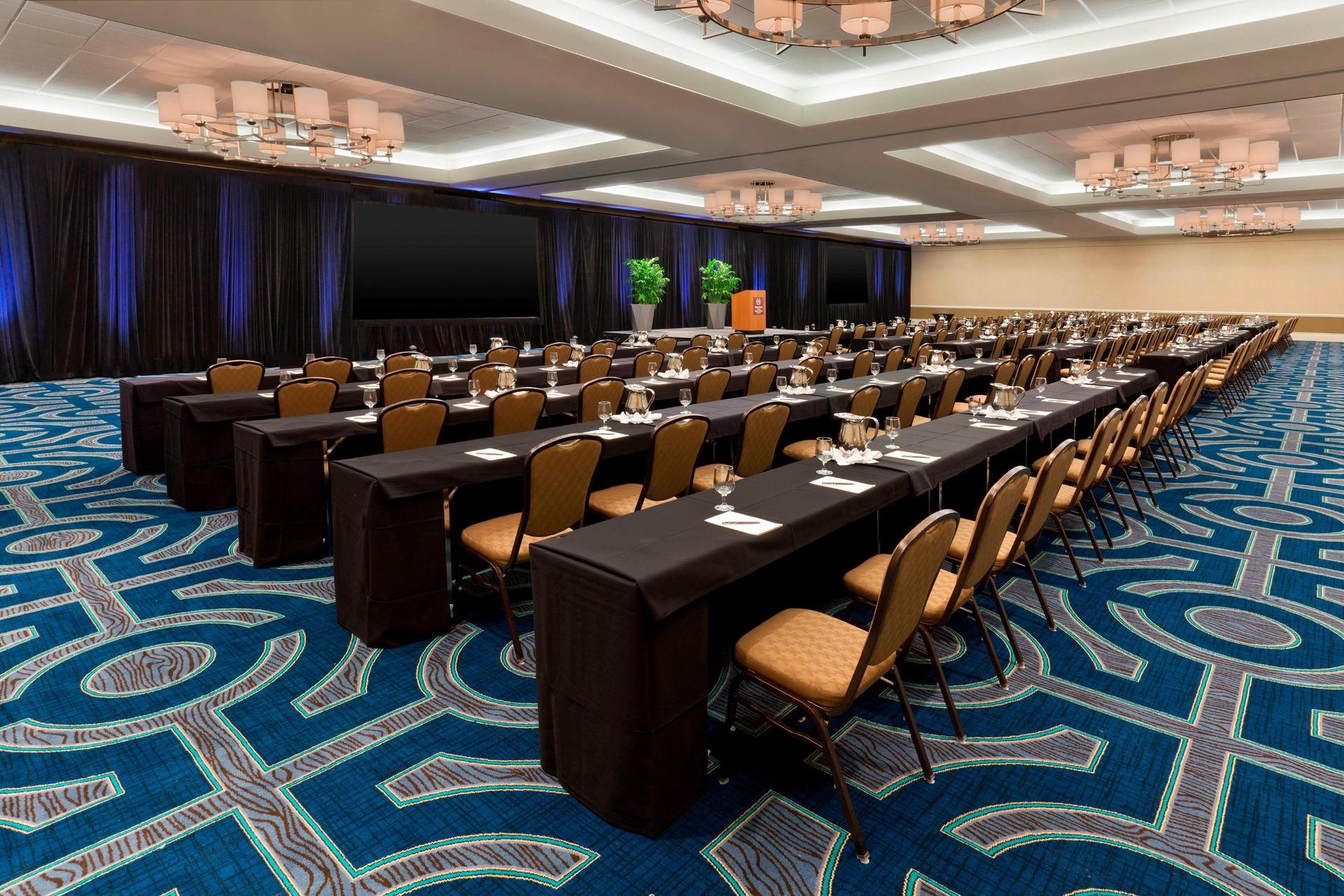 Royal Palm 3
