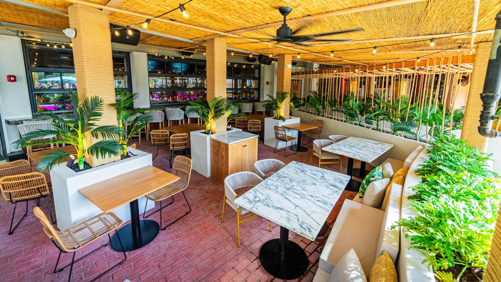 Palm Tree Club