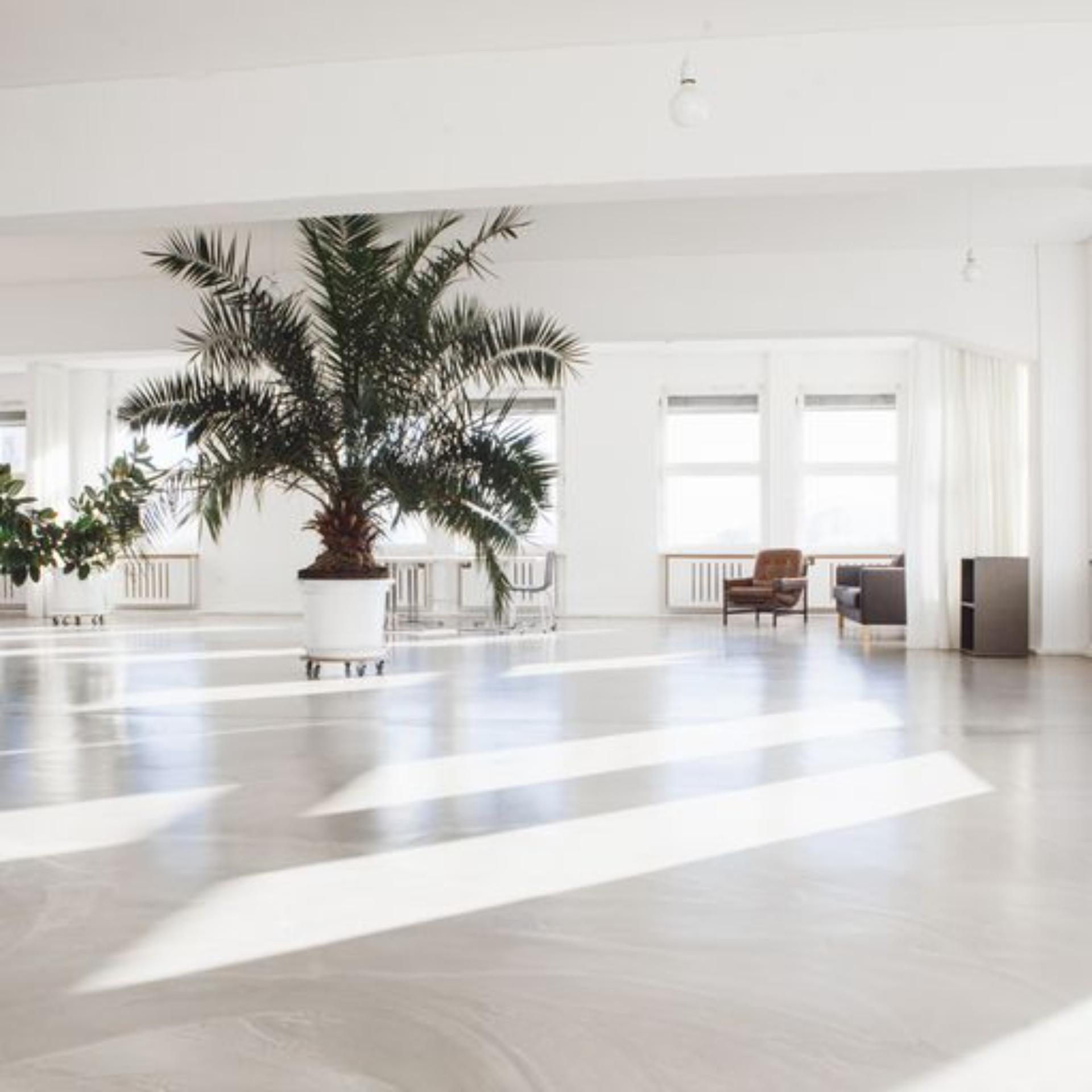 Loft 6