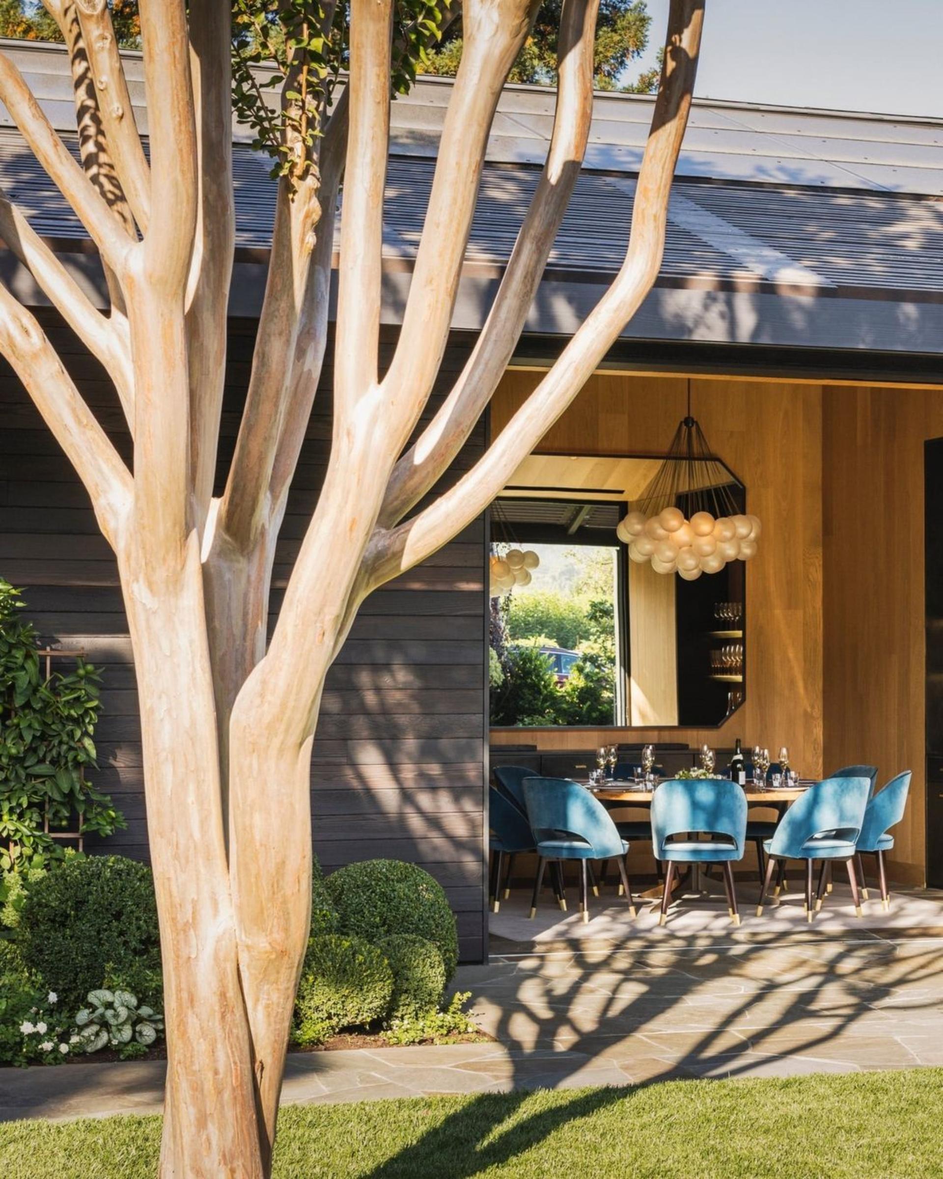 Bay Laurel Tree Table