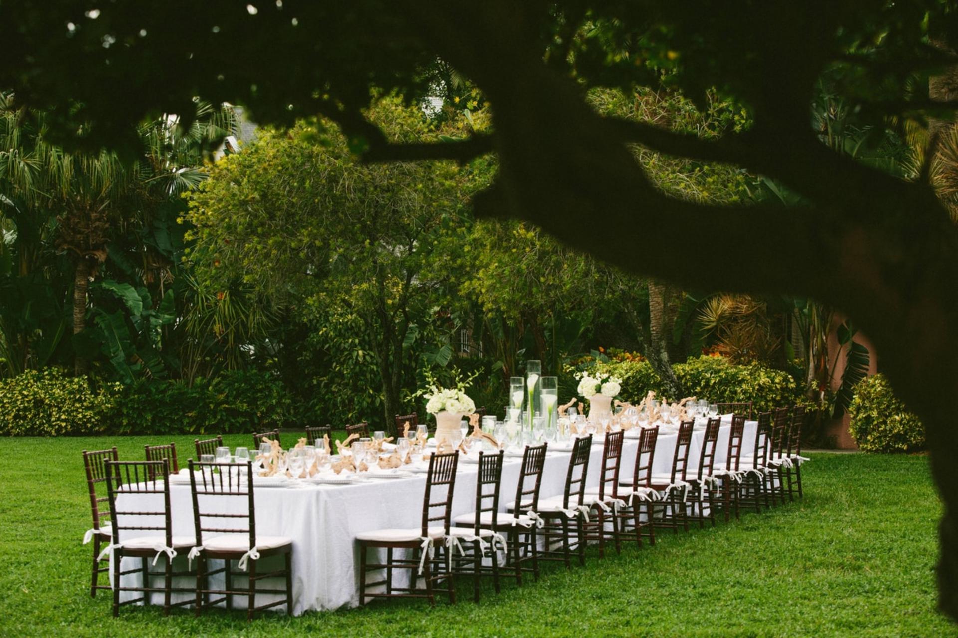 Tea Garden