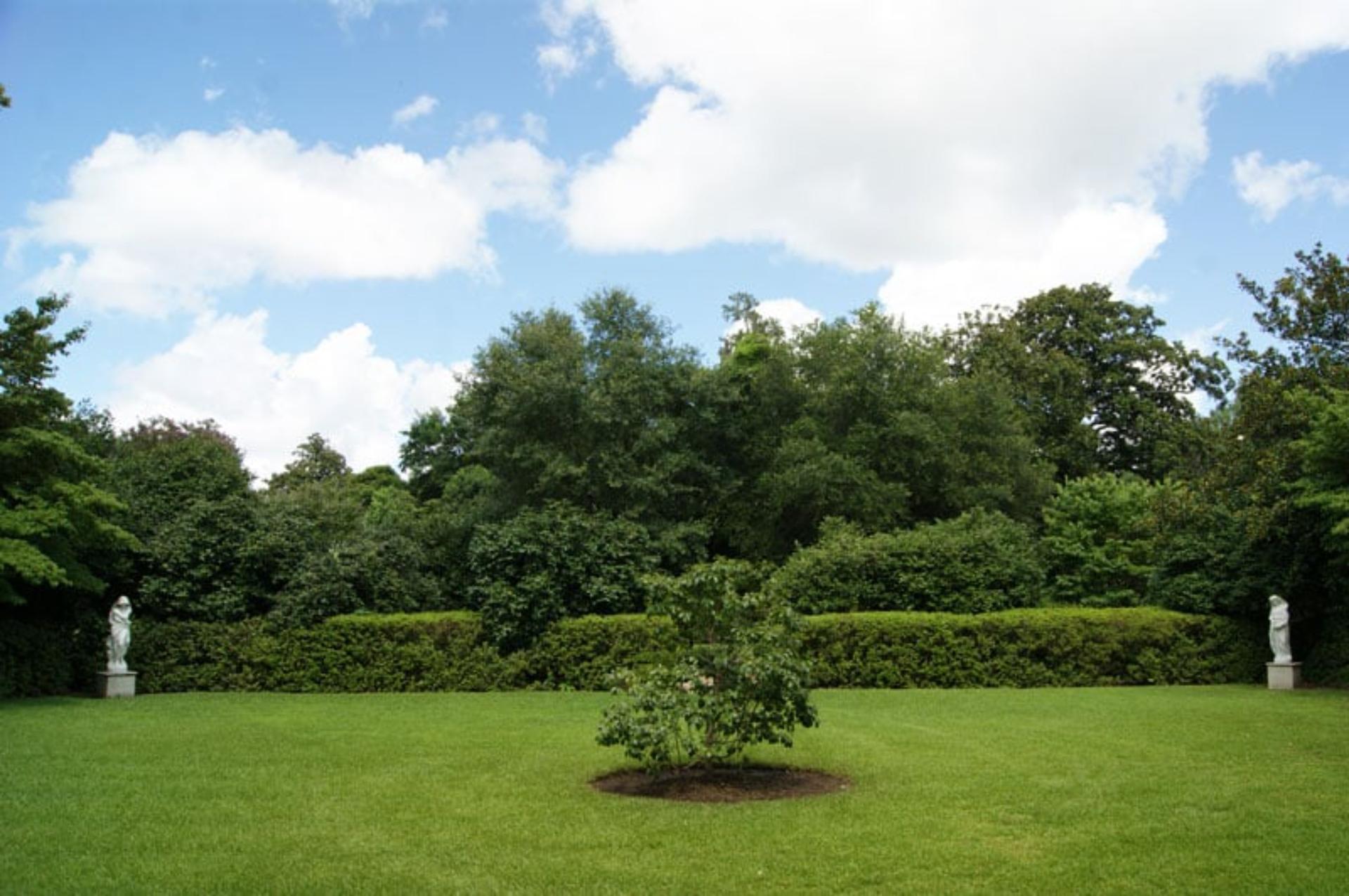 Secret Gardens