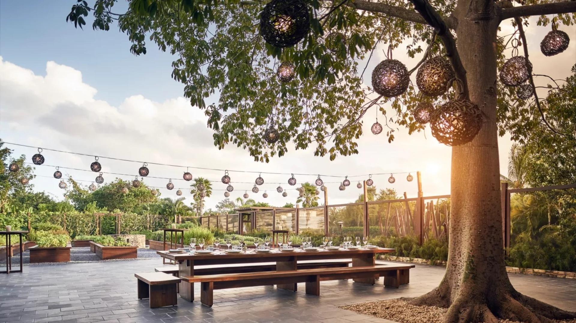 La Ceiba Garden & Kitchen 