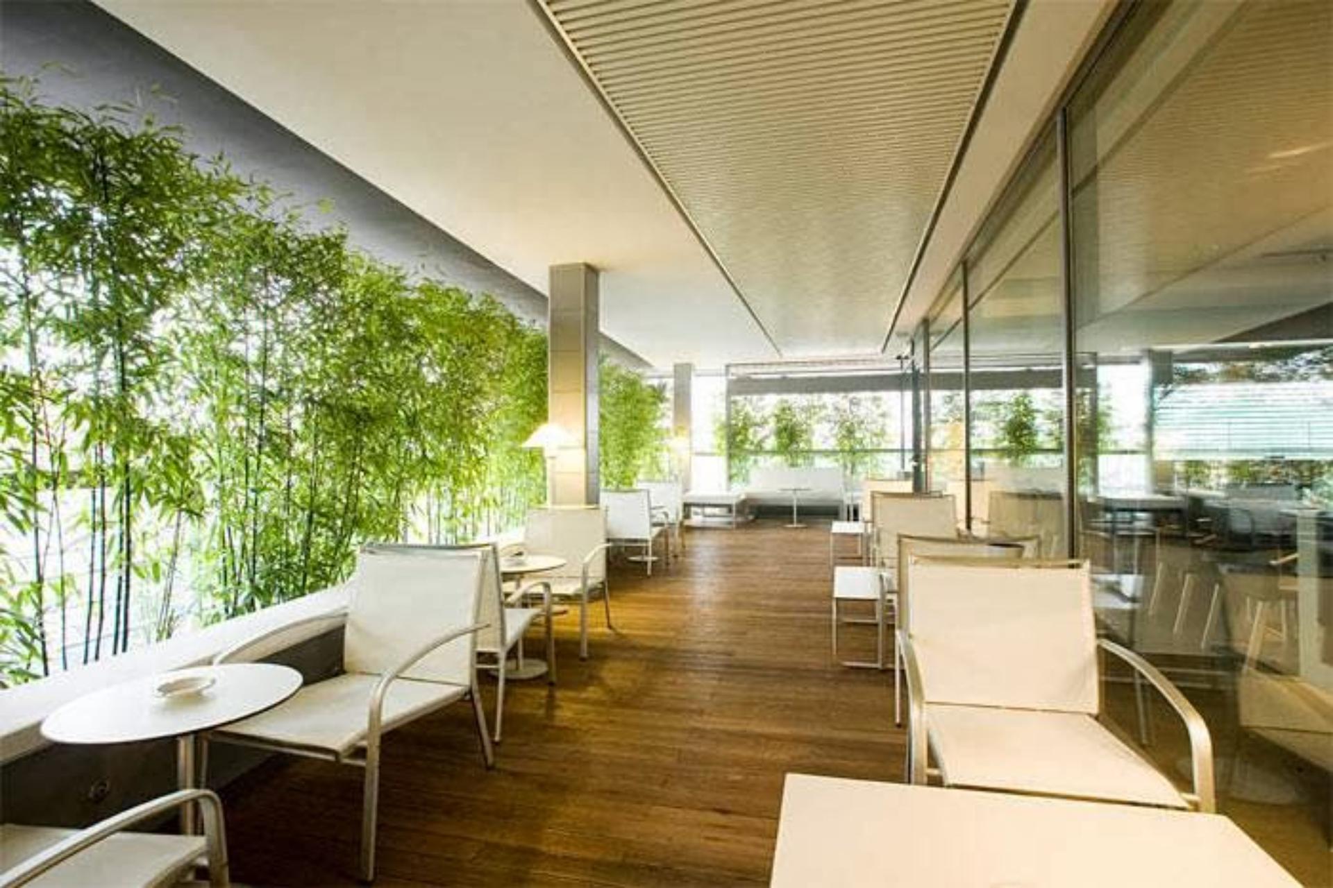 The Terrace