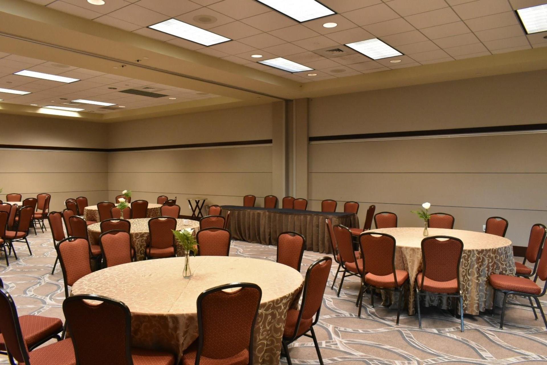 Meeting Room 10 & 11