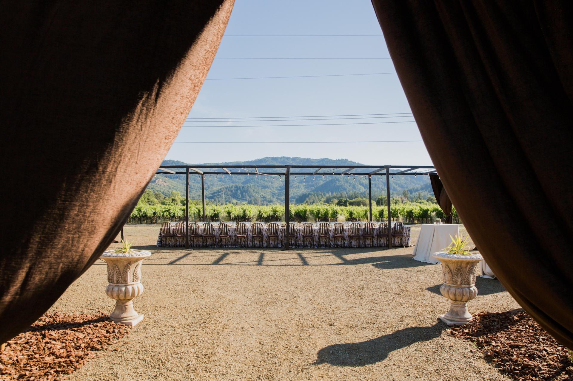 The Vineyard
