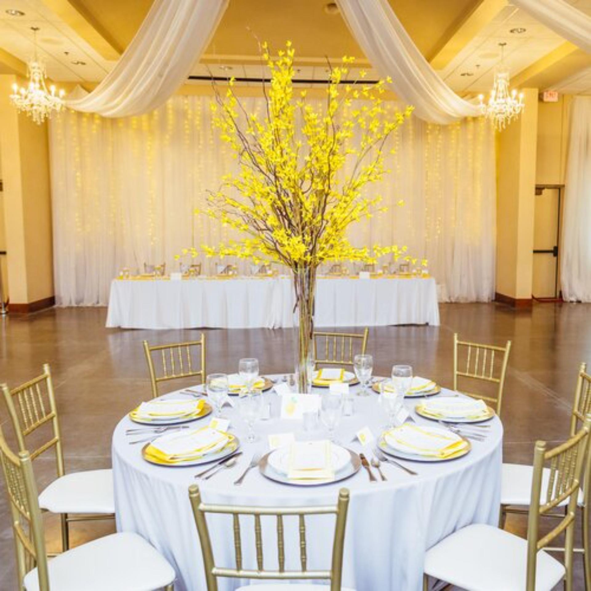 The Garden Room