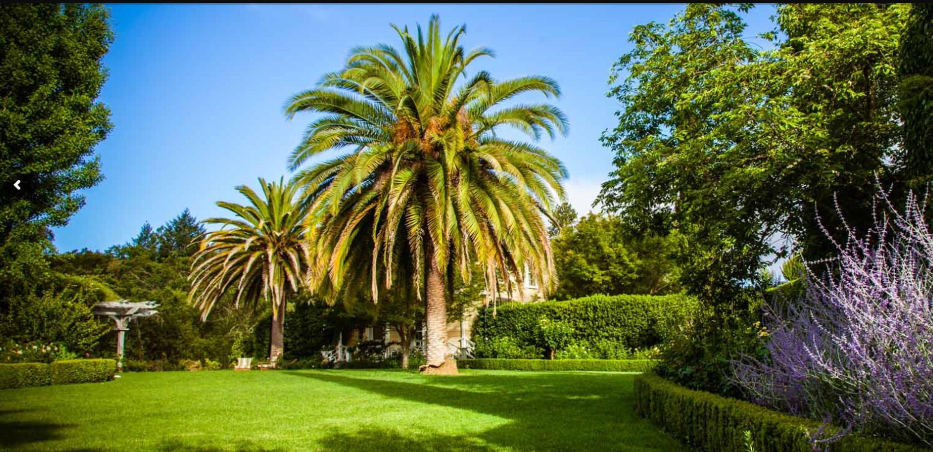 Gardens