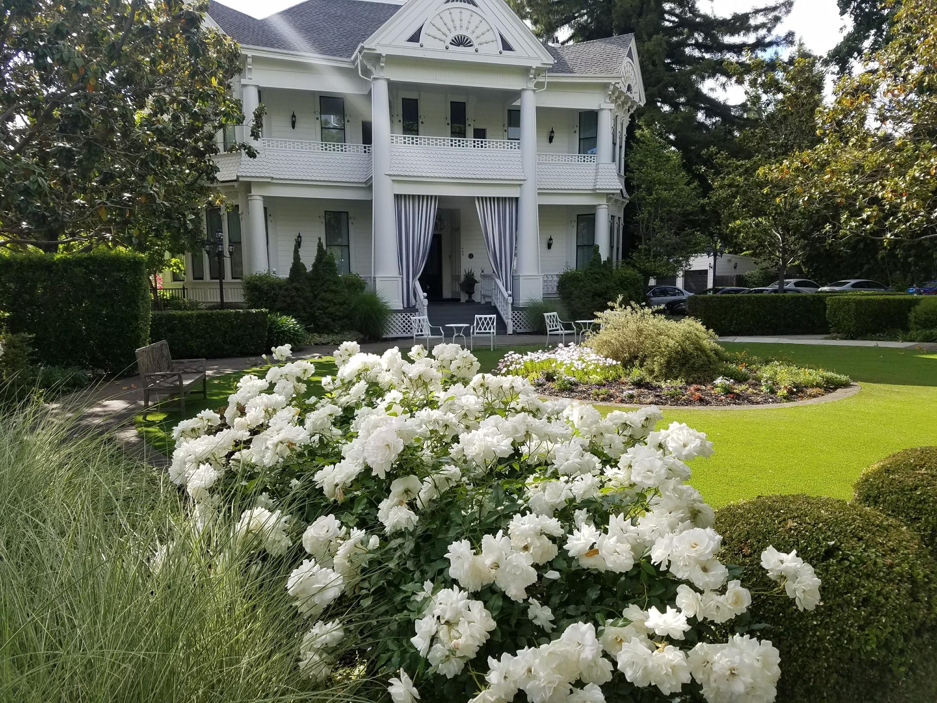 Front Grounds