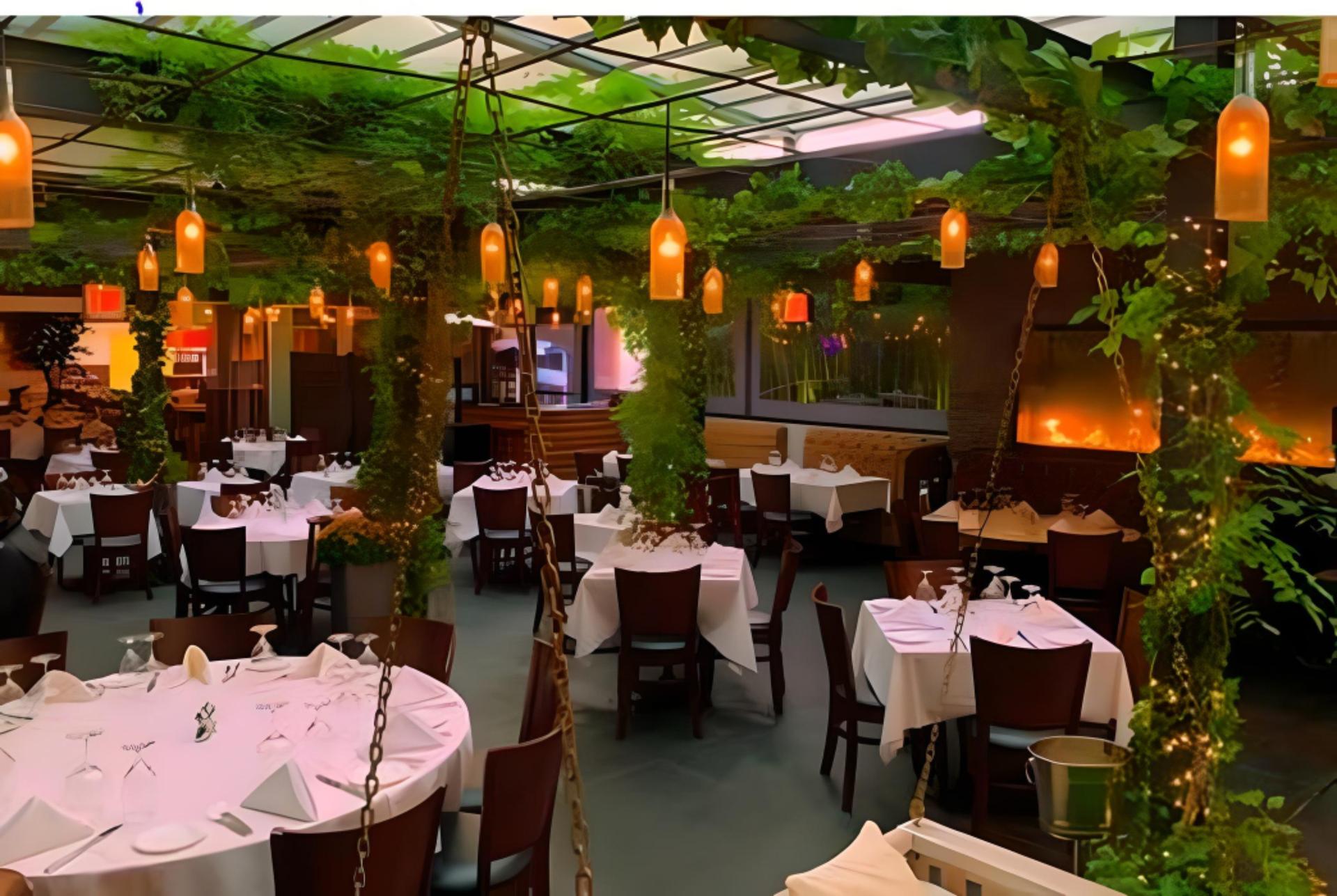 The Garden