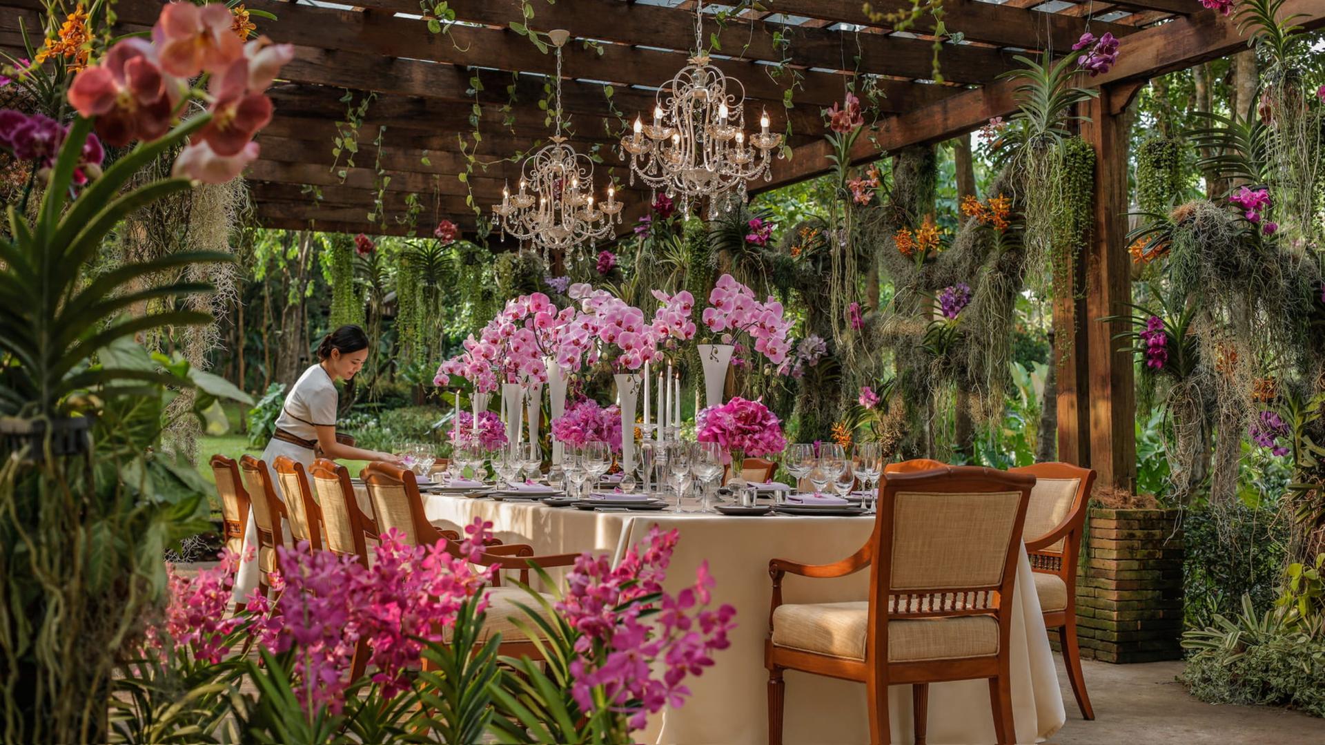 Orchid Nursery