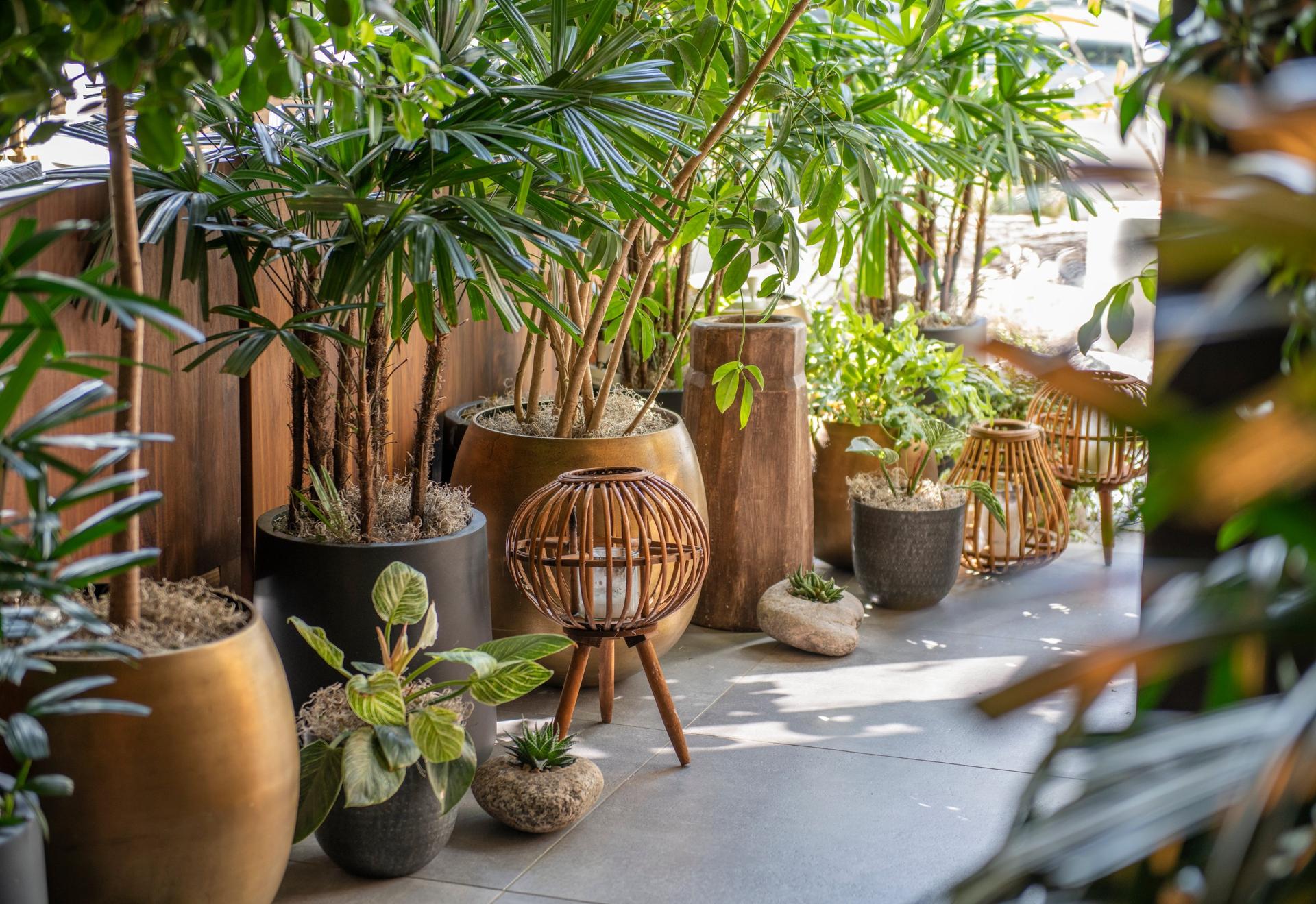 Full Buyout of Casa Madera