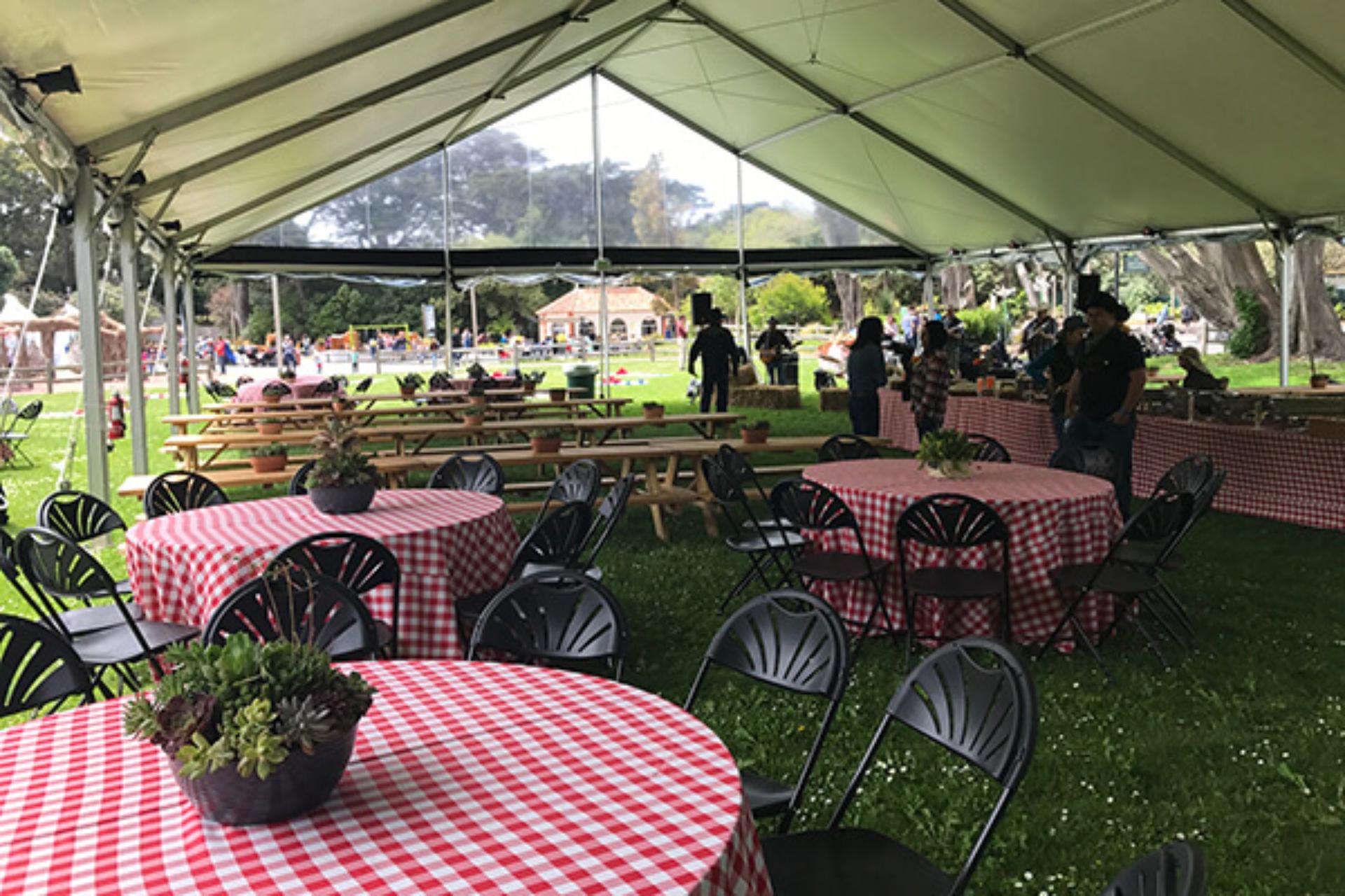 Playfield Lawn