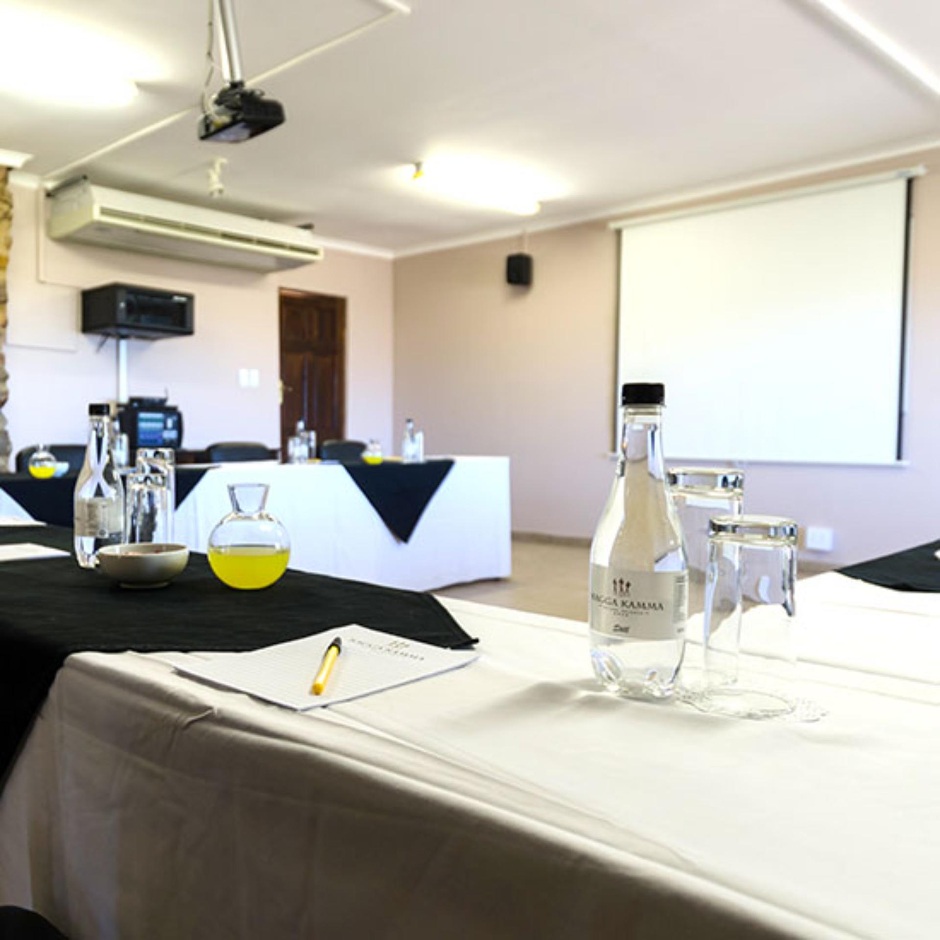 Rooikat Conference Room