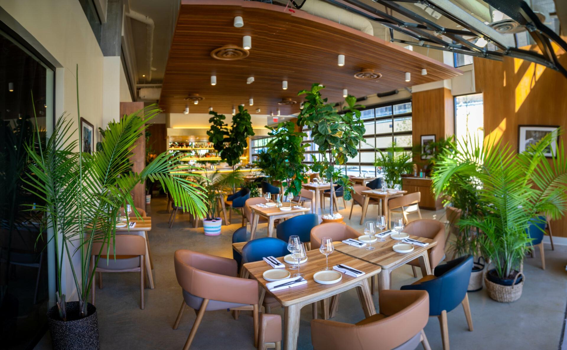 Full Buyout of El Cielo