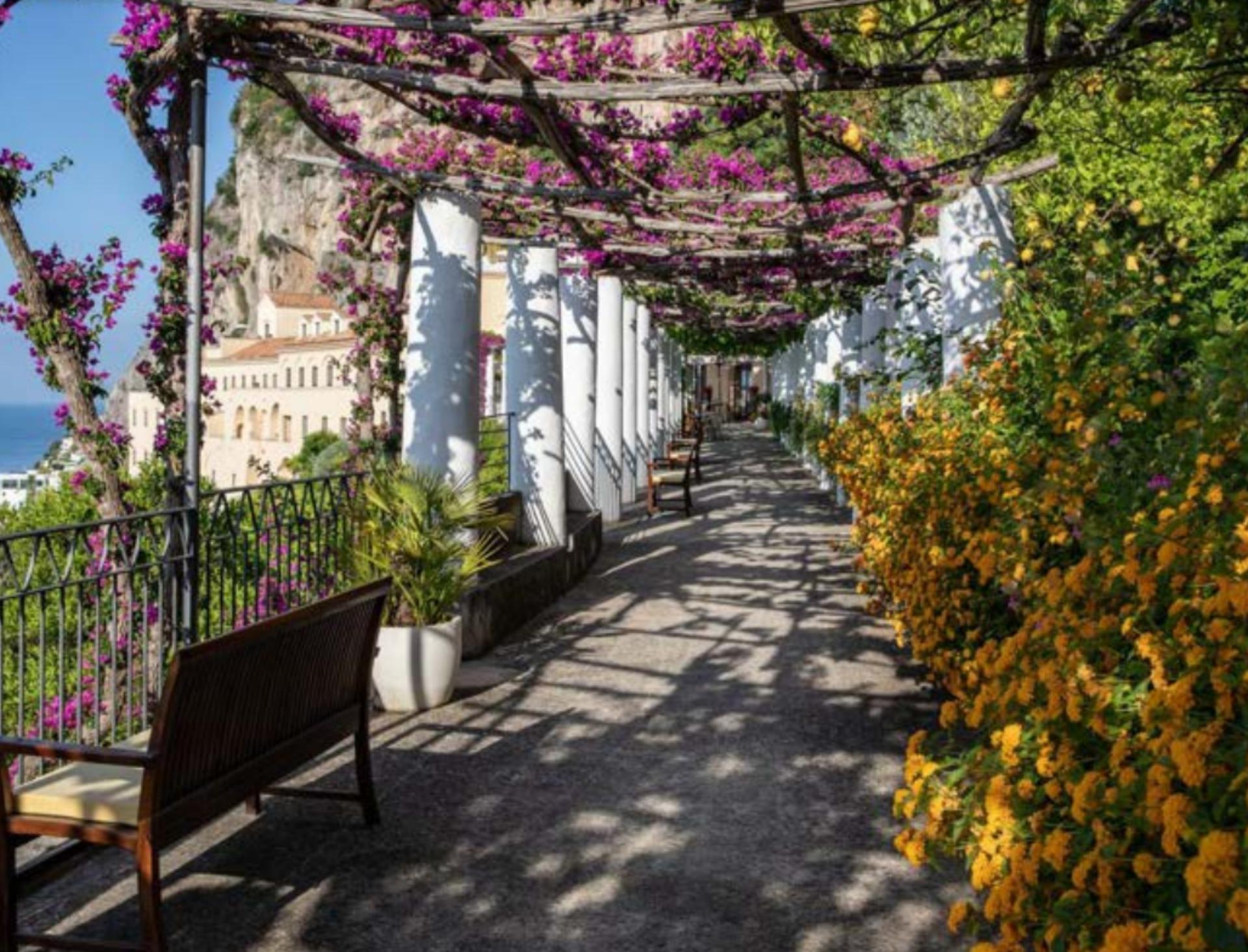 Walk of the Monks