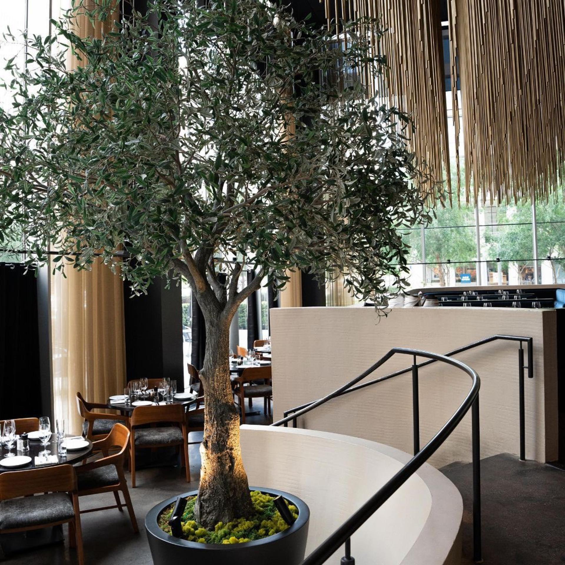 Private Dining Space