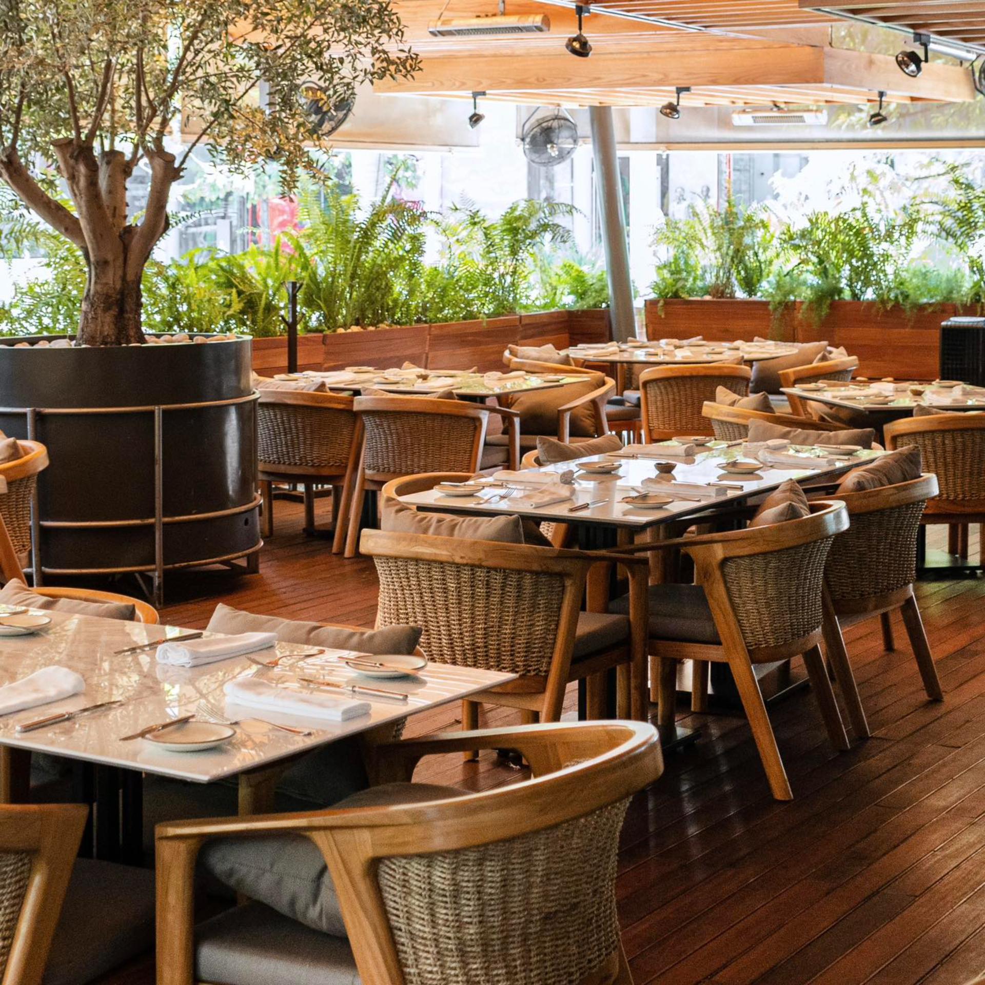 Full Buyout of PANGEA