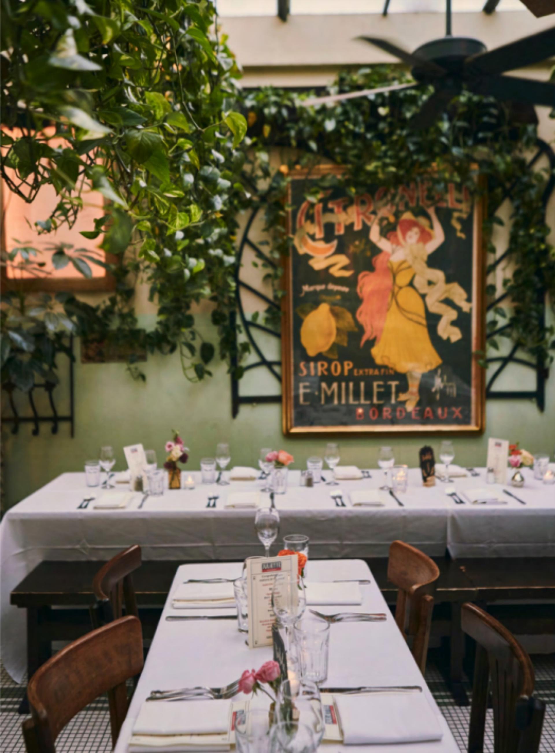The Winter Garden