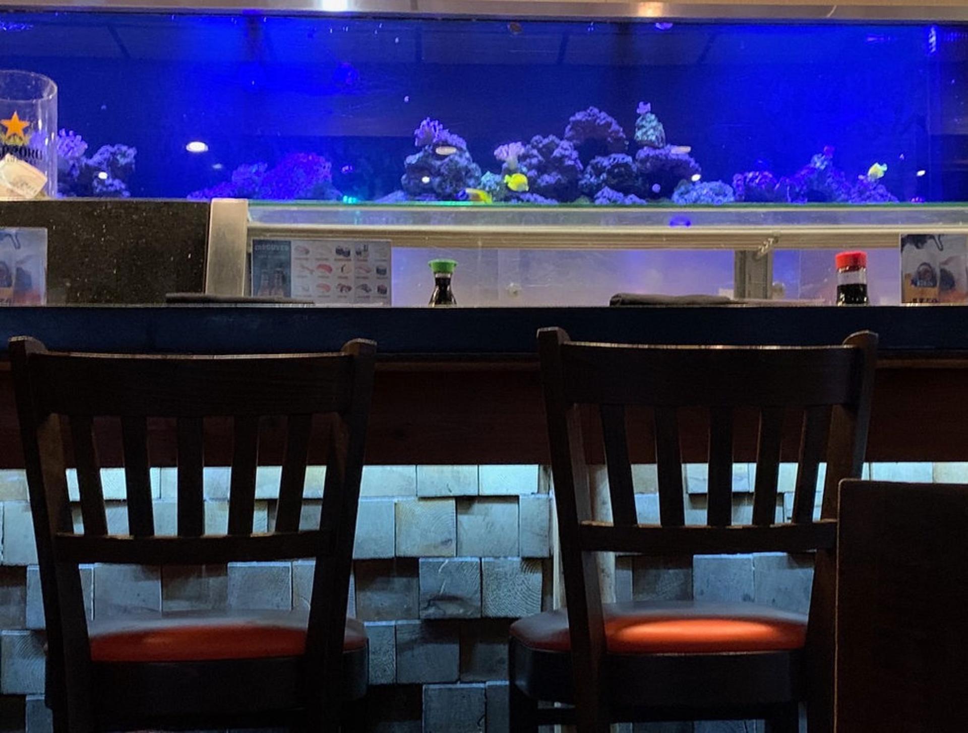 Full Buyout of Sushi Axiom- Fort Worth Hulen