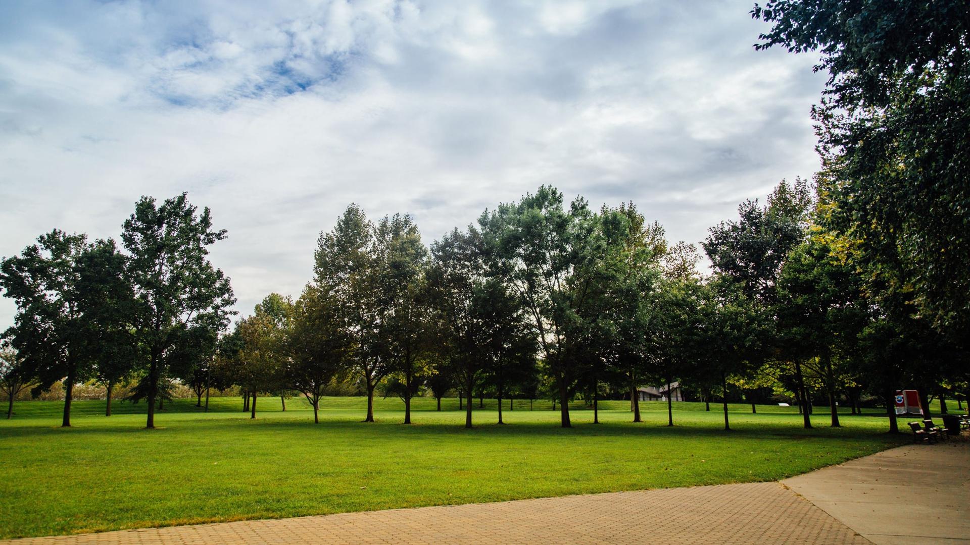 Brown-Forman Lawn