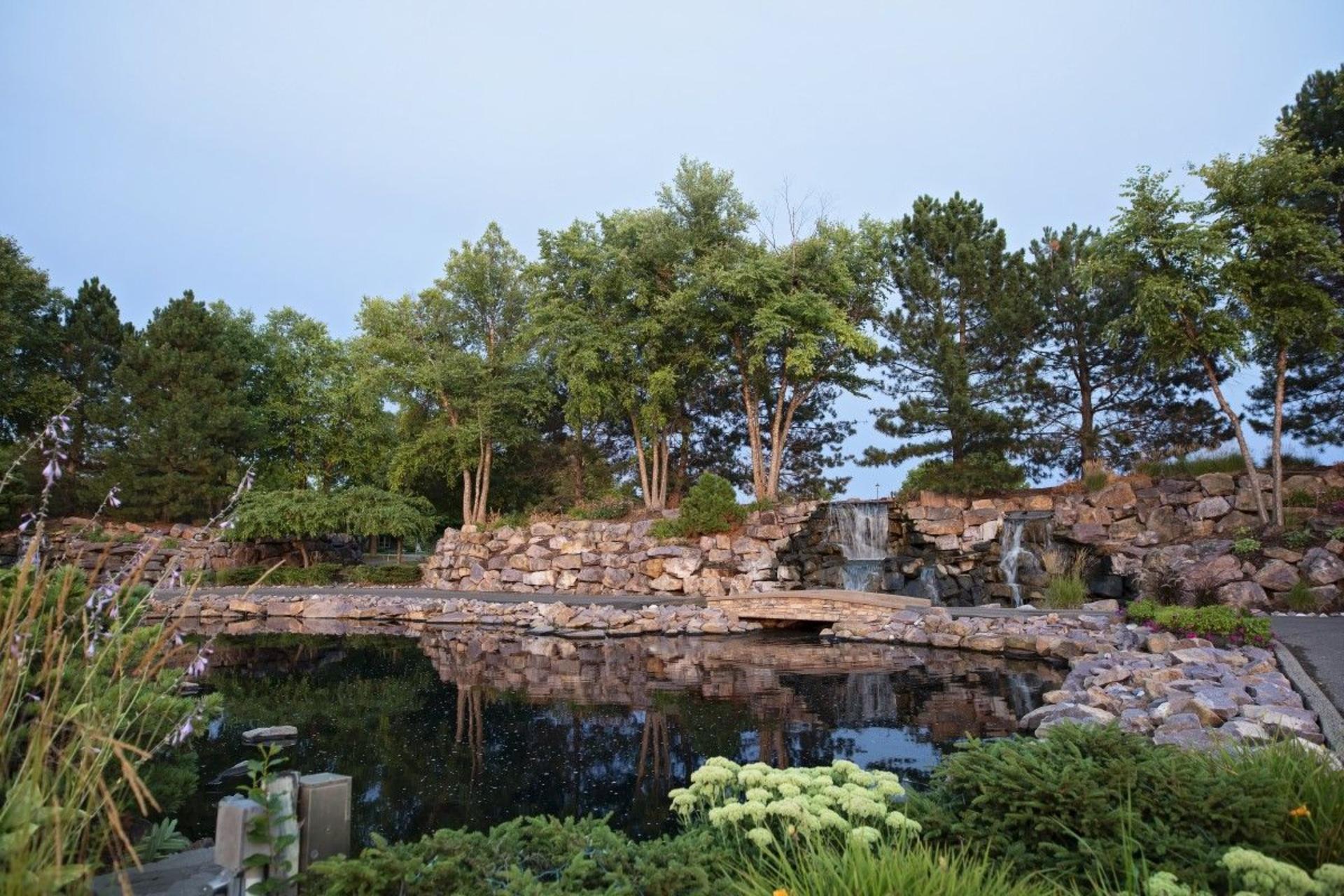 Water's Edge 