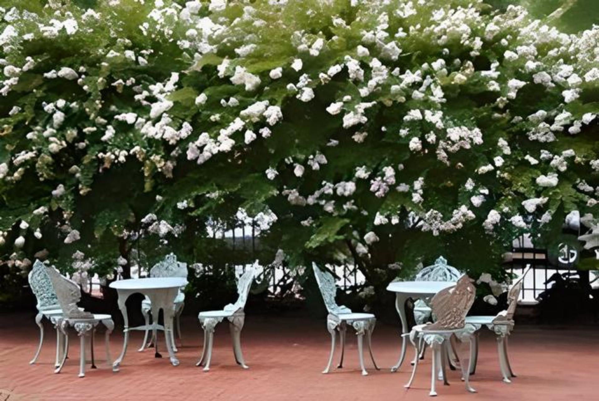 Garden Courtyard