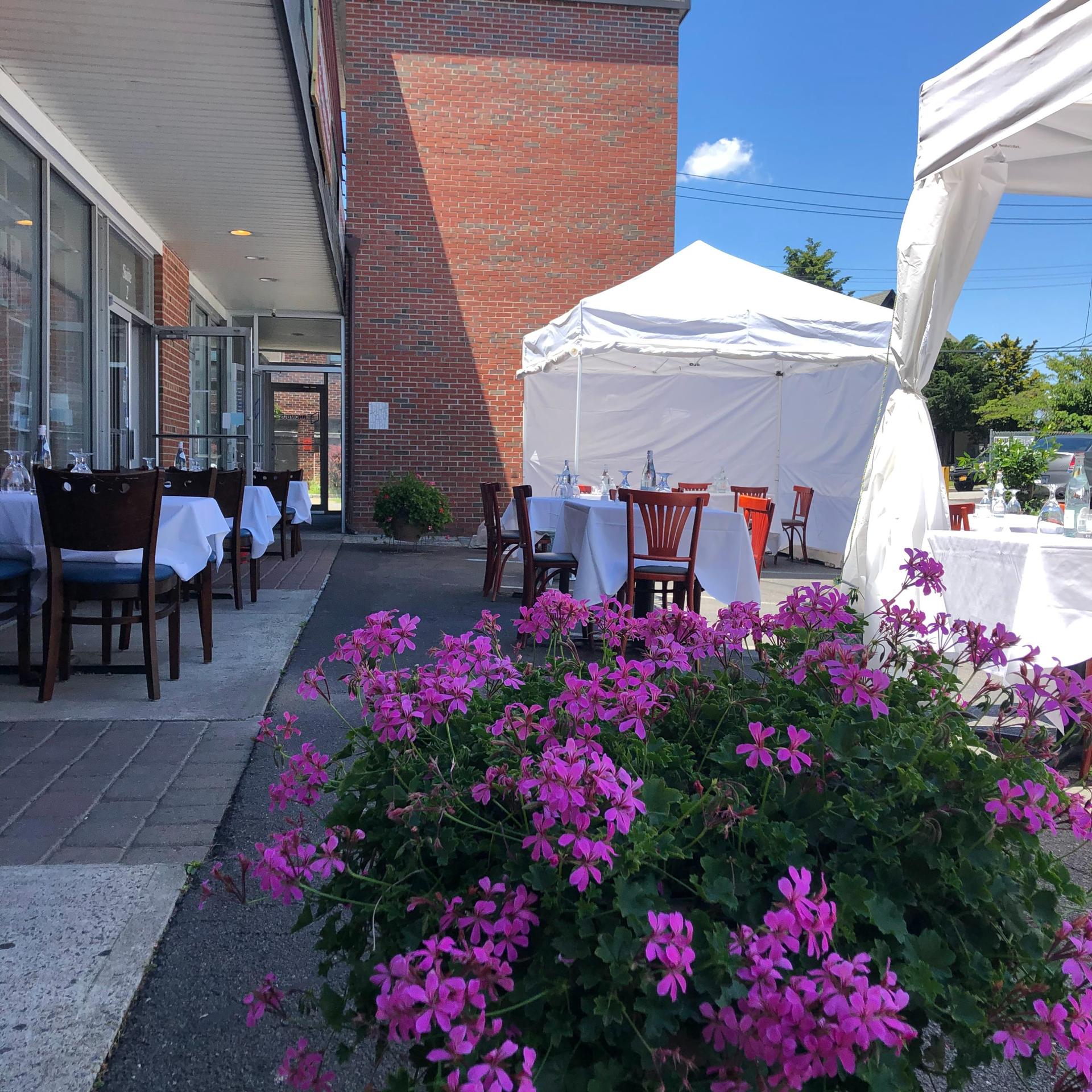 Full Buyout of Shiraz Kitchen & Wine Bar - White Plains