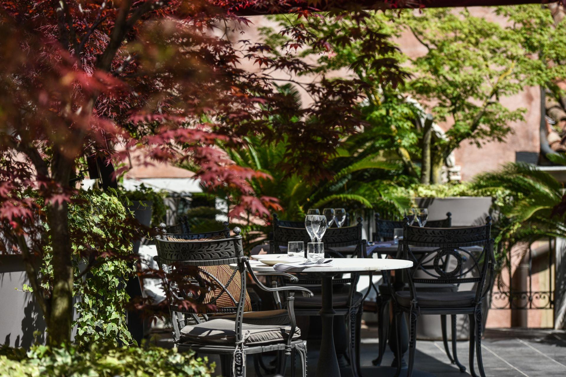 The Terrace