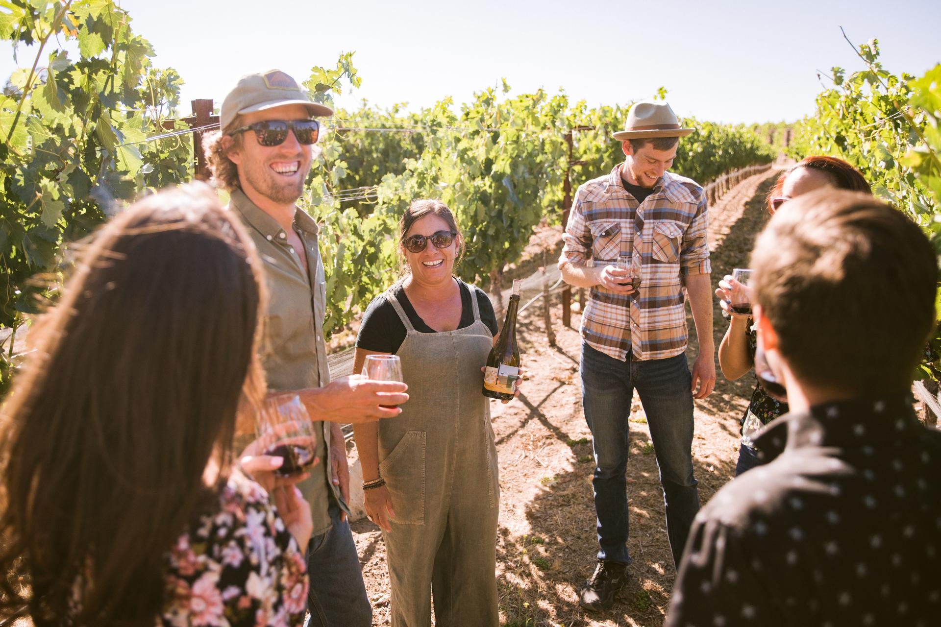 Vineyard Tour & Tasting