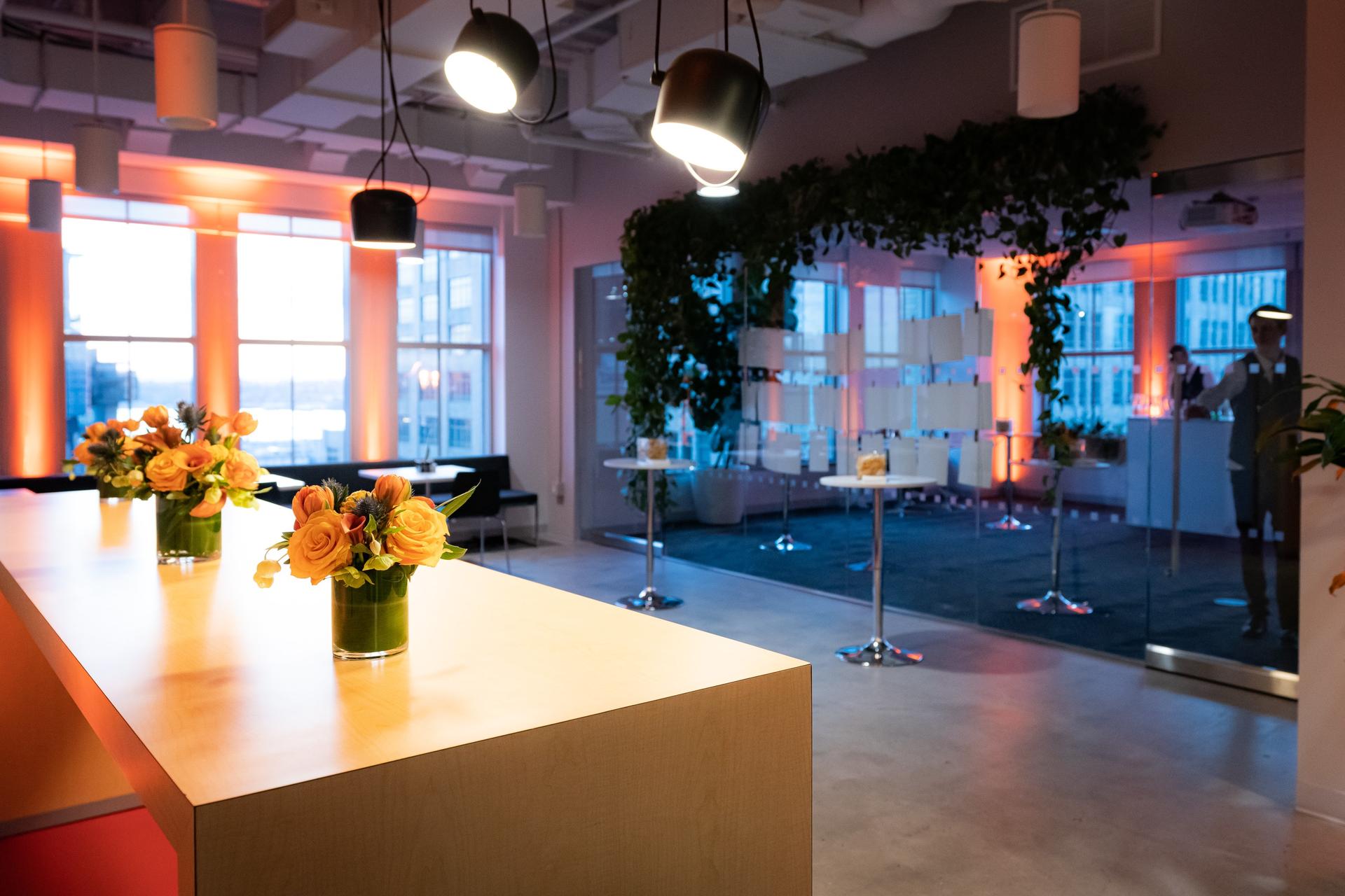 Level 12 at TED