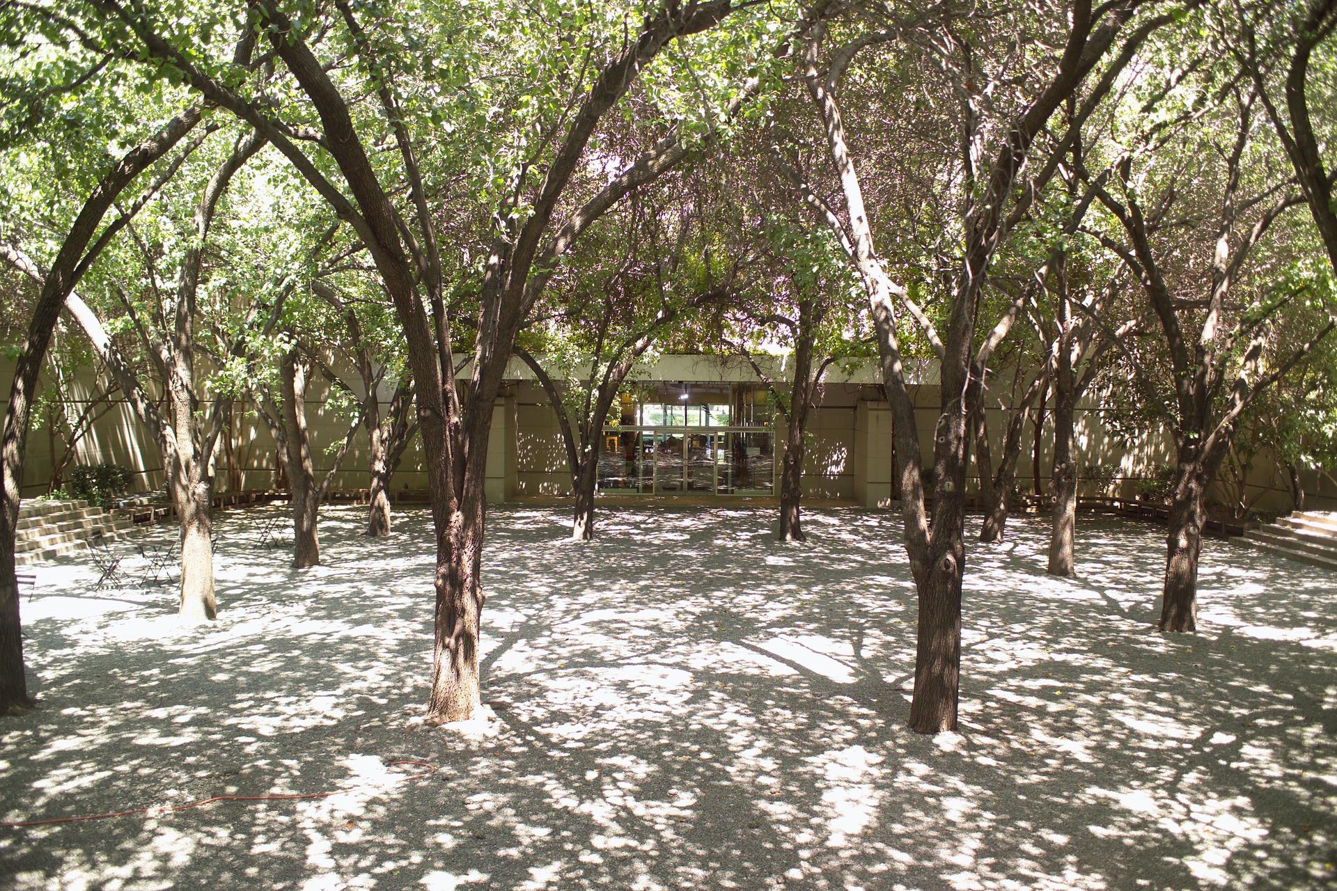 Fleischner Courtyard