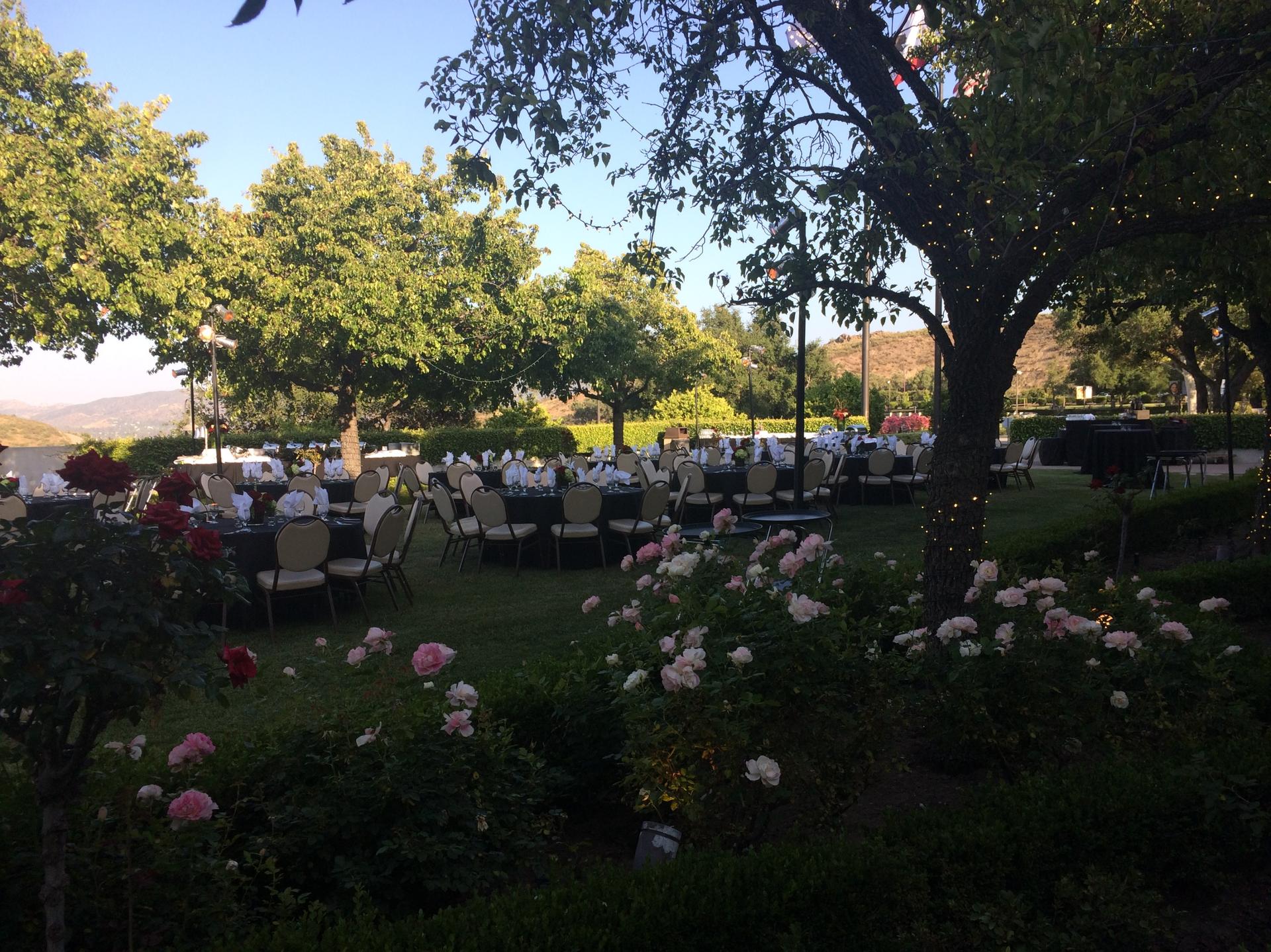 The White House Rose Garden