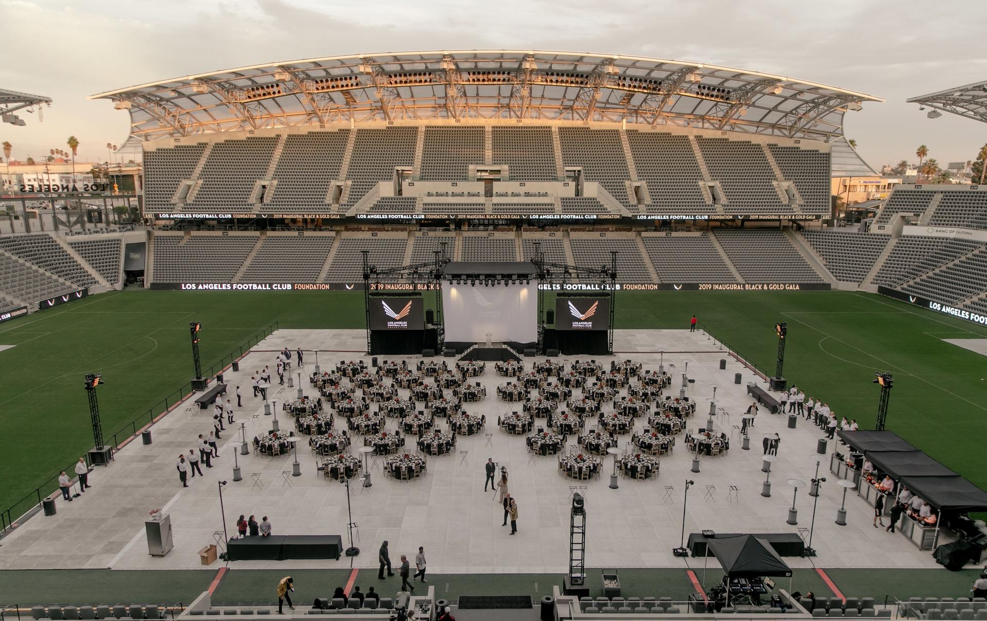 The Field