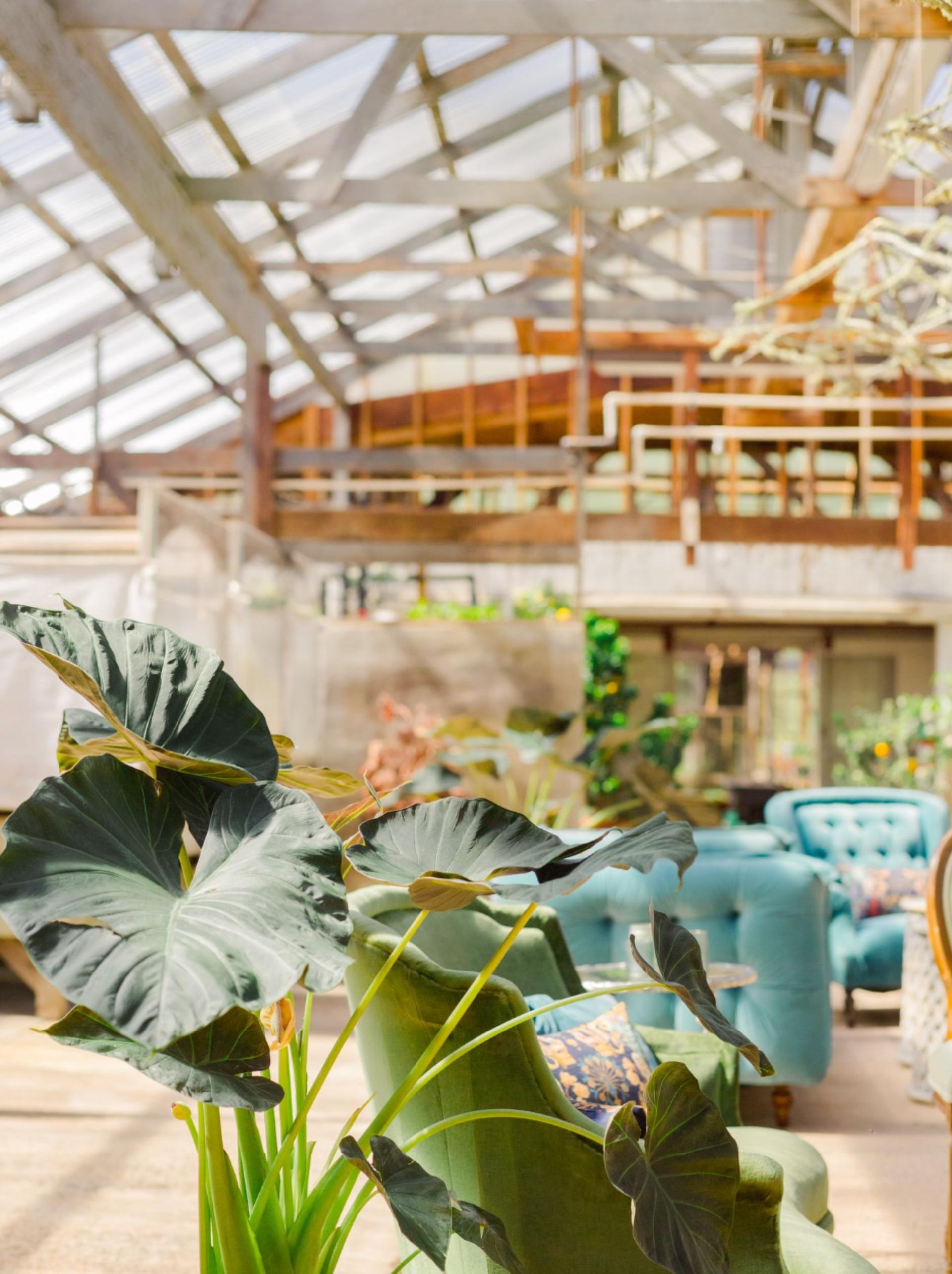 Greenhouse