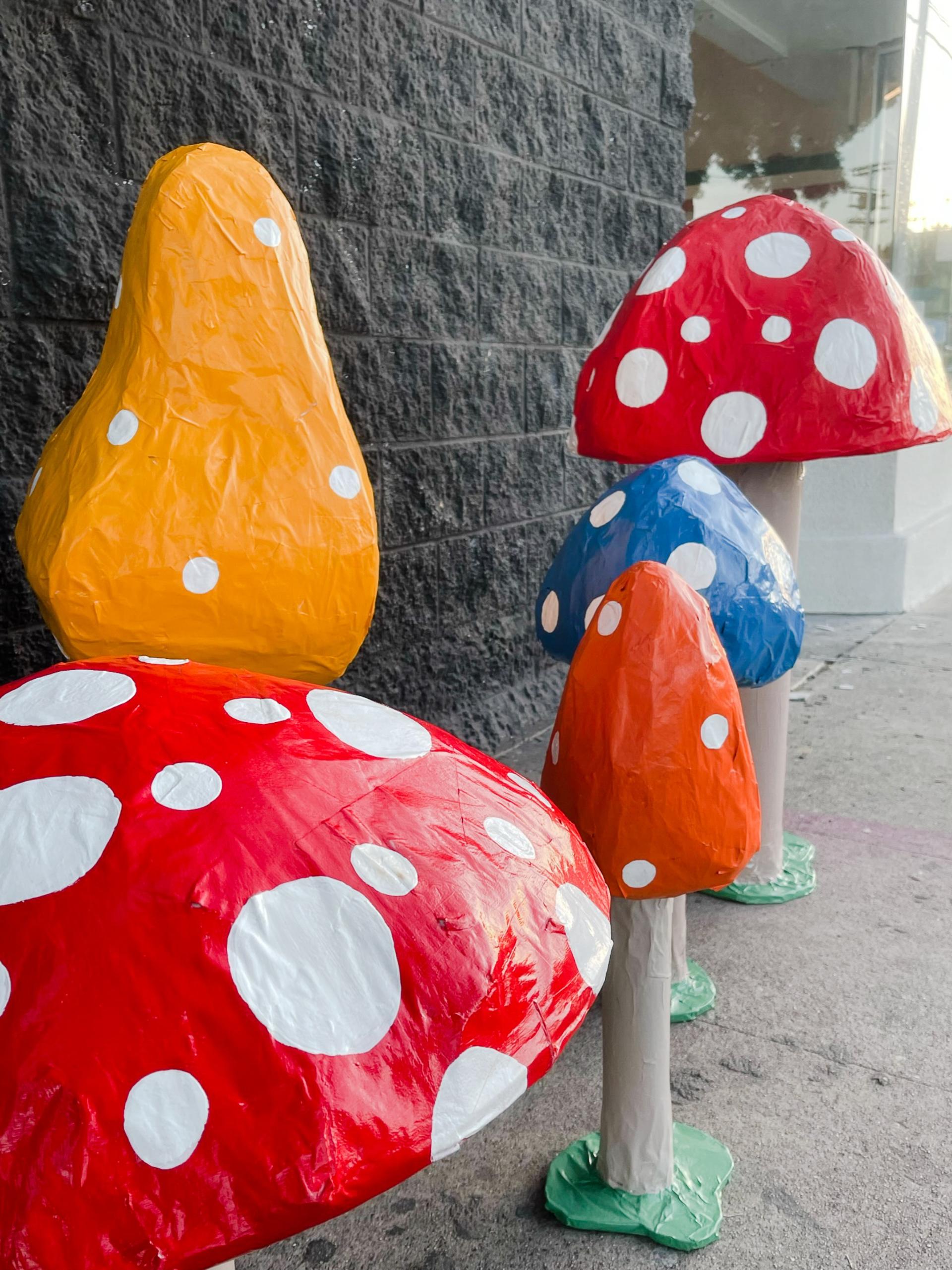 Mushroom Bat Mitzvah Other in Los Angeles, CA The Vendry