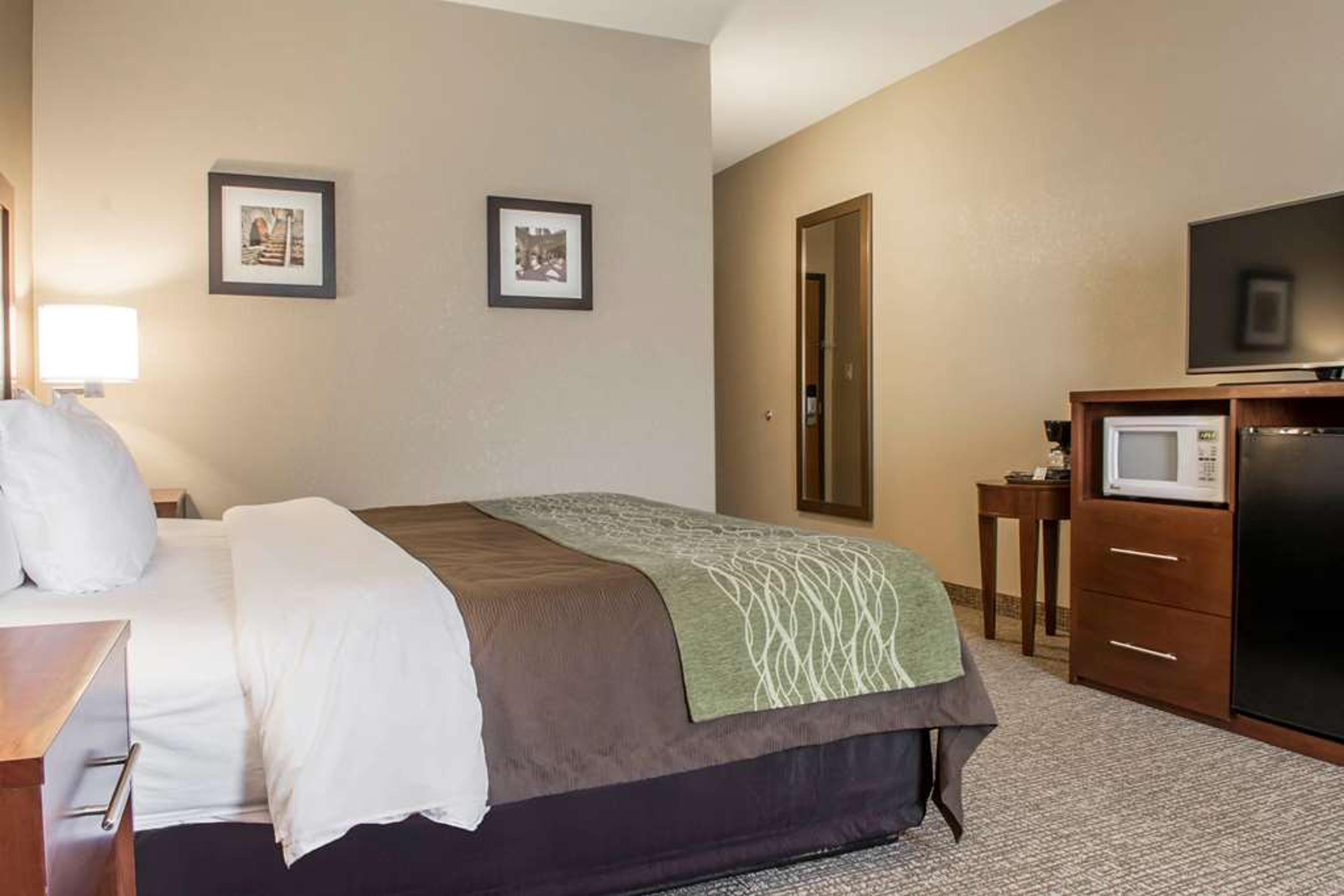 COMFORT INN EDINBURG